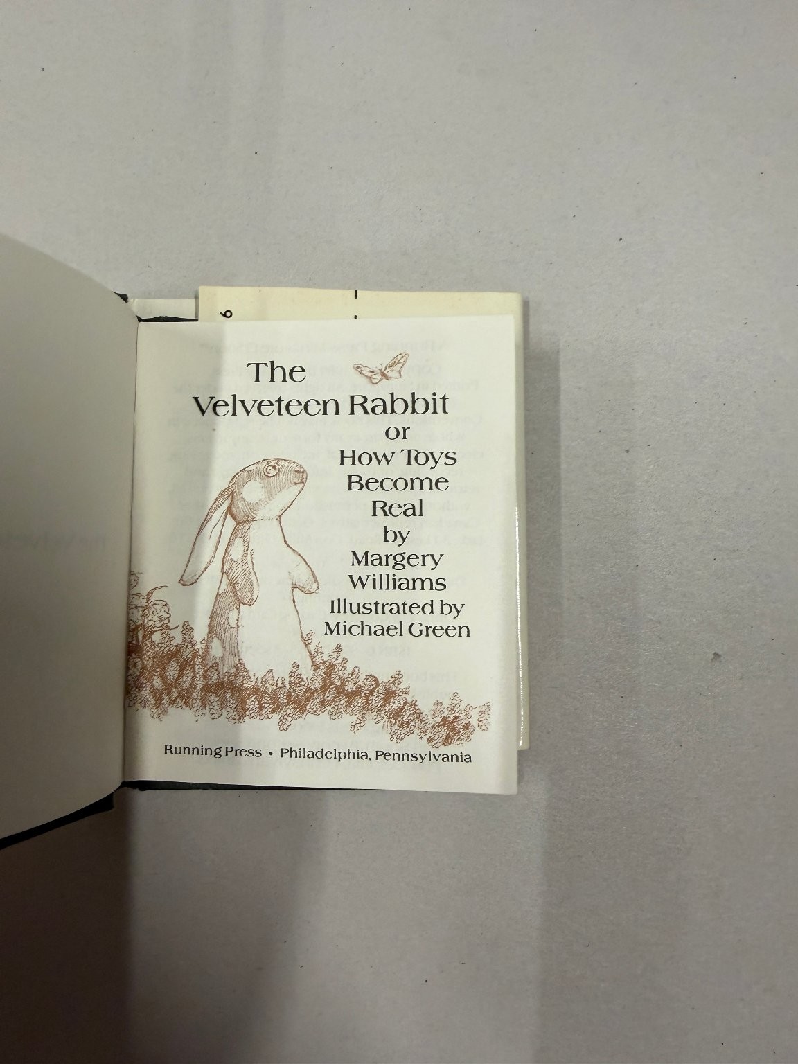 The Velveteen Rabbit Margery Williams Illustrated Michael Green