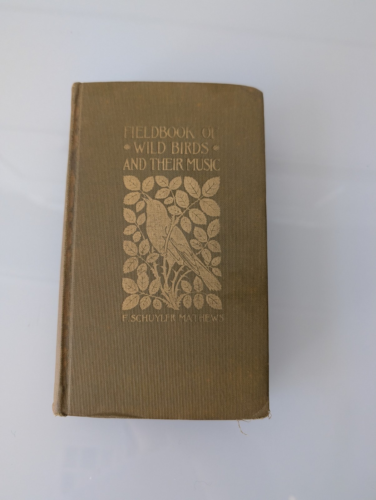 1936 Putnam’s Nature Handbooks Field Book of Wild Birds and their Music Mathews