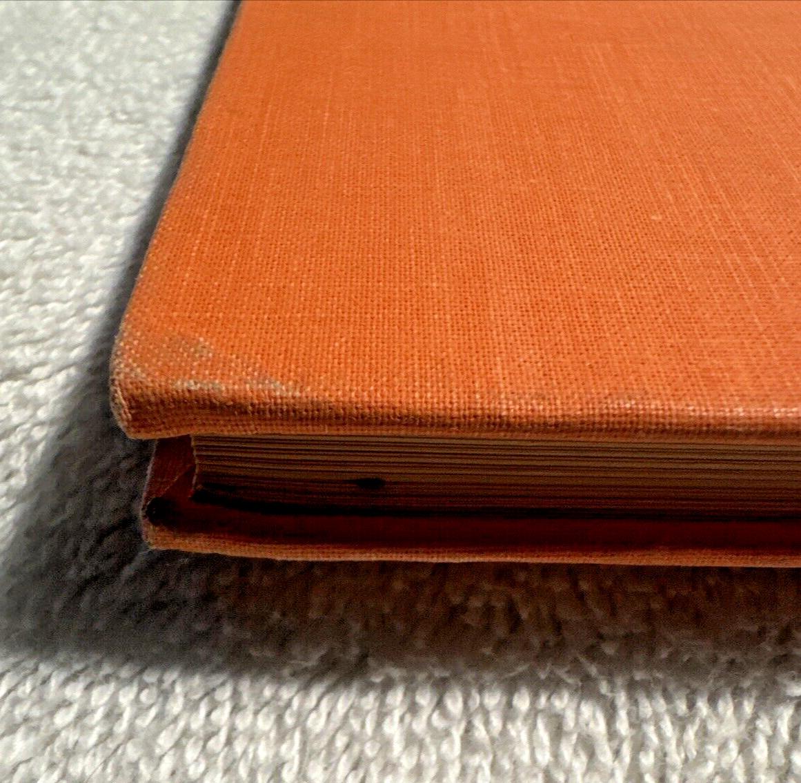 Colette et ses Freres Josette Spink and Violet Mills 1926 Hardcover No Writing