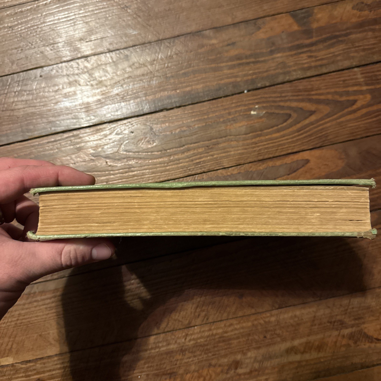 Vintage 1903 Edition of The Wizard of Oz Book by L. Frank Baum & W. W. Denslow