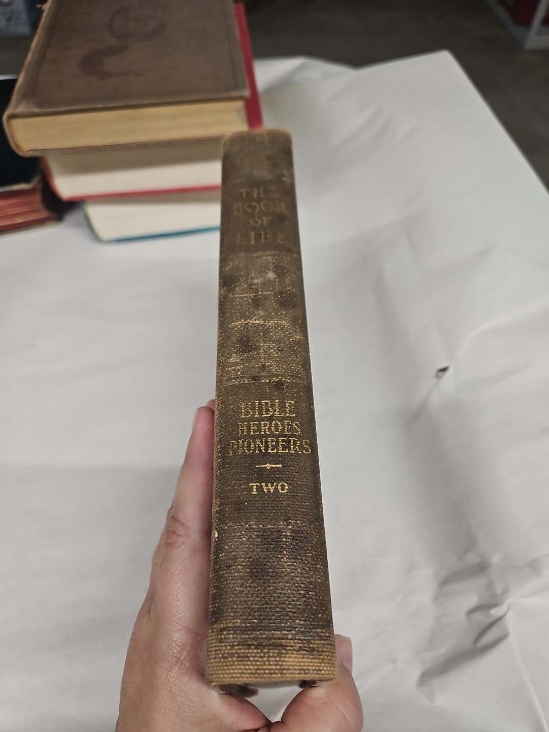 The Book Of Life Volume 2 Bible Heroes Pioneers Vintage 1927 4th Ed Illustrated