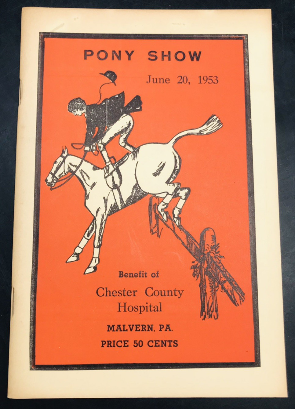 1974 Pony Show Horses Chester County Hospital Malvern PA Catalog Program 6×9