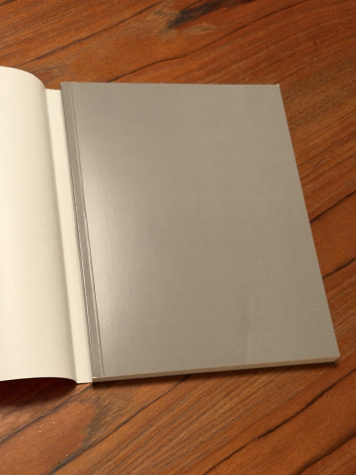 Blinky Palermo : 1964 – 1976 First Posthumous Catalogue With Slipcase