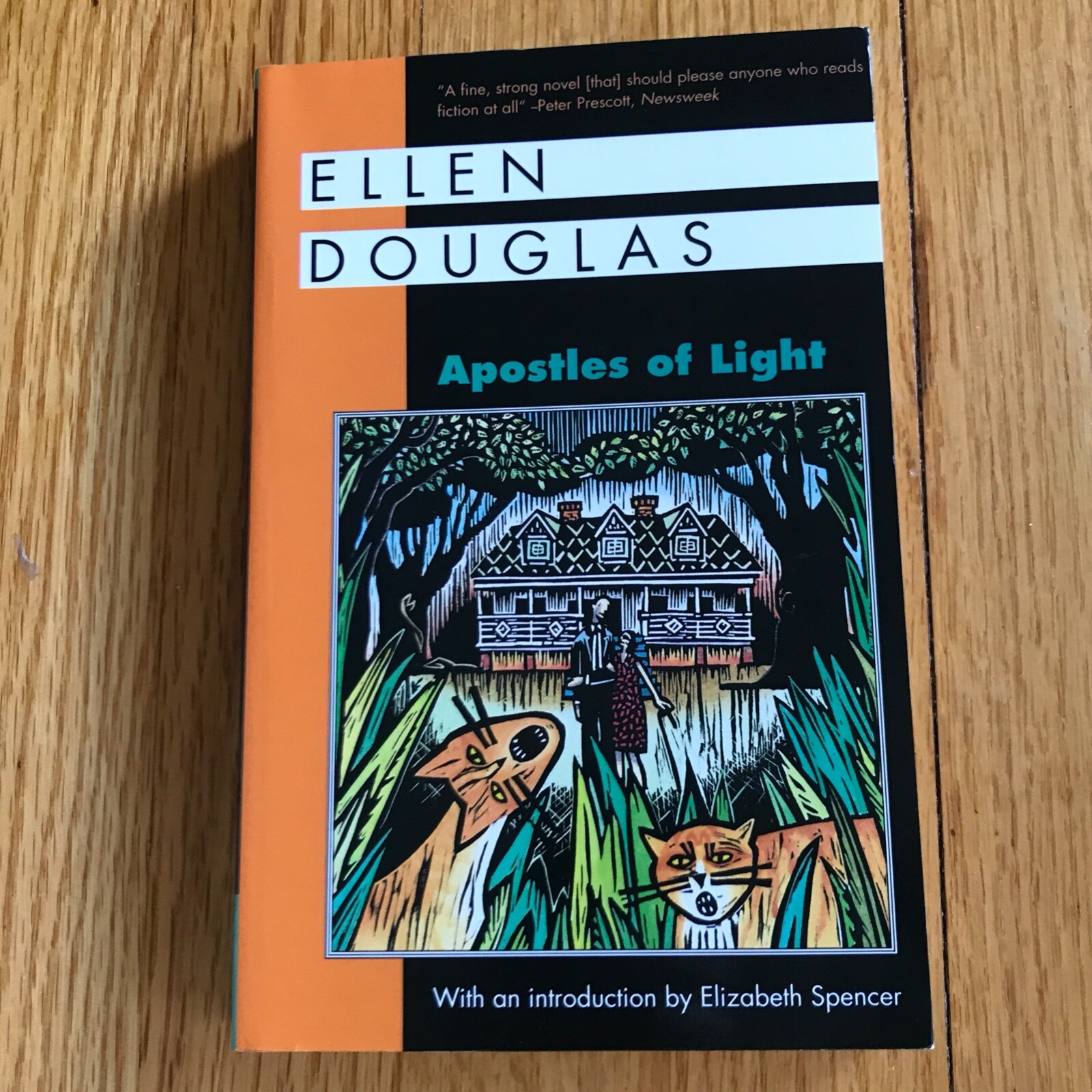 ELLEN DOUGLAS—Apostles of Light—1st Trade PB—Neglected Mississippi Lit—SIGNED