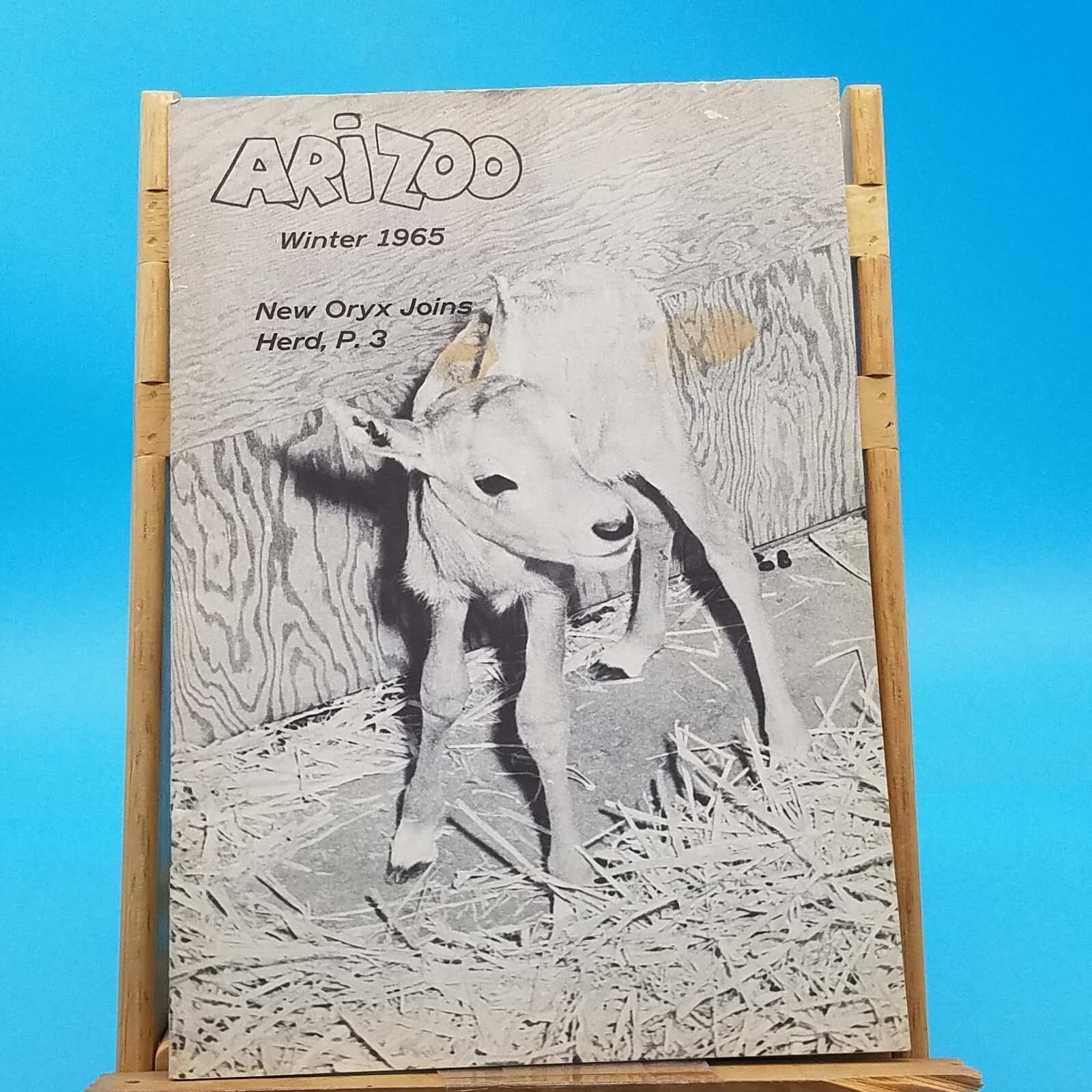 ARIZOO winner of 1965 winner of 1965 now known as the phoenix zoo