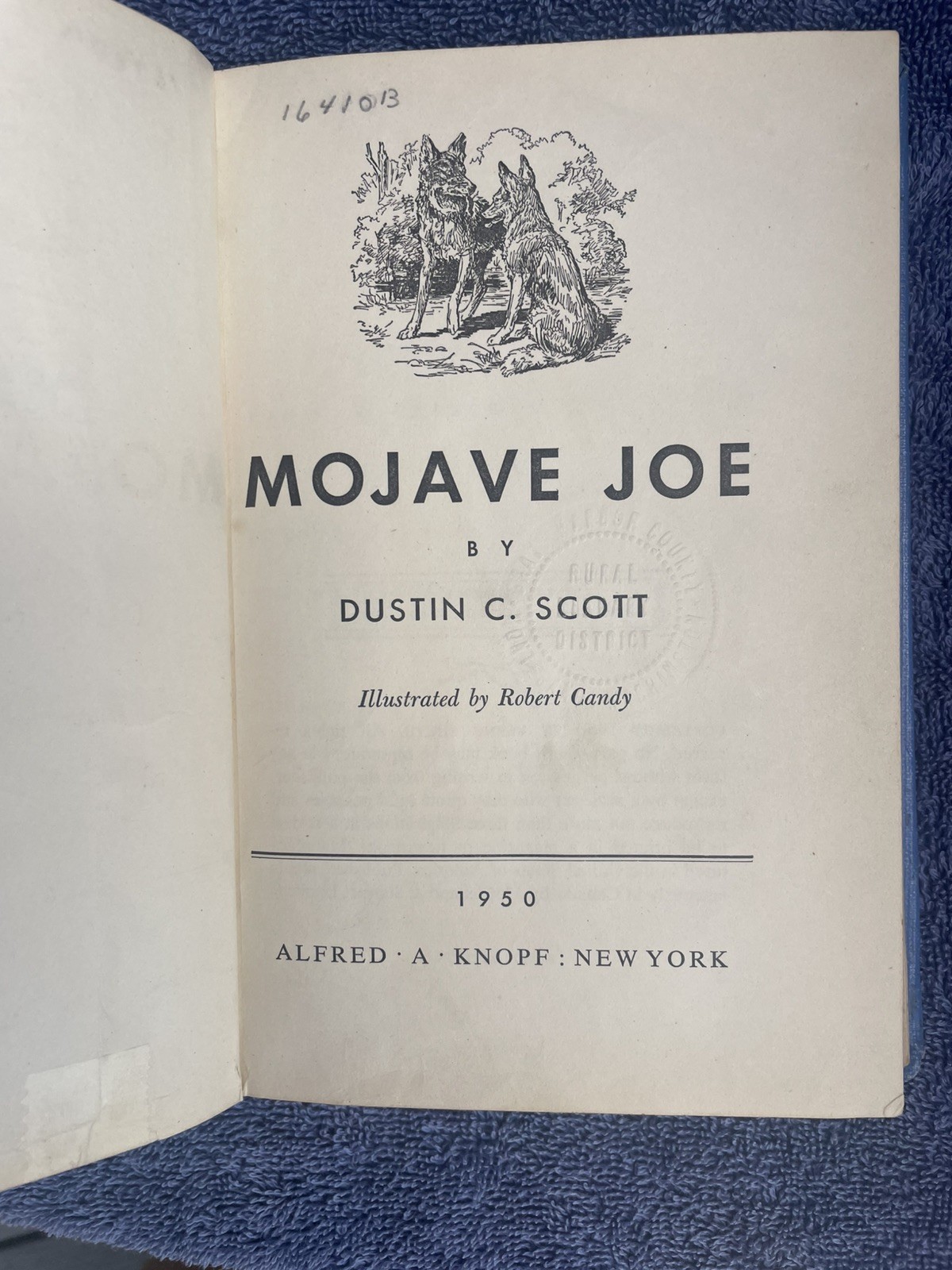 Mojave Joe