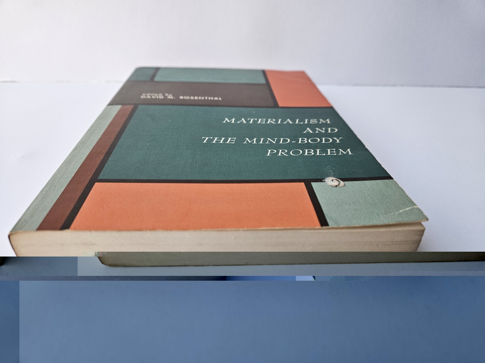 Materialism And The Mind Body Problem By David M. Rosenthal Vintage Paperback