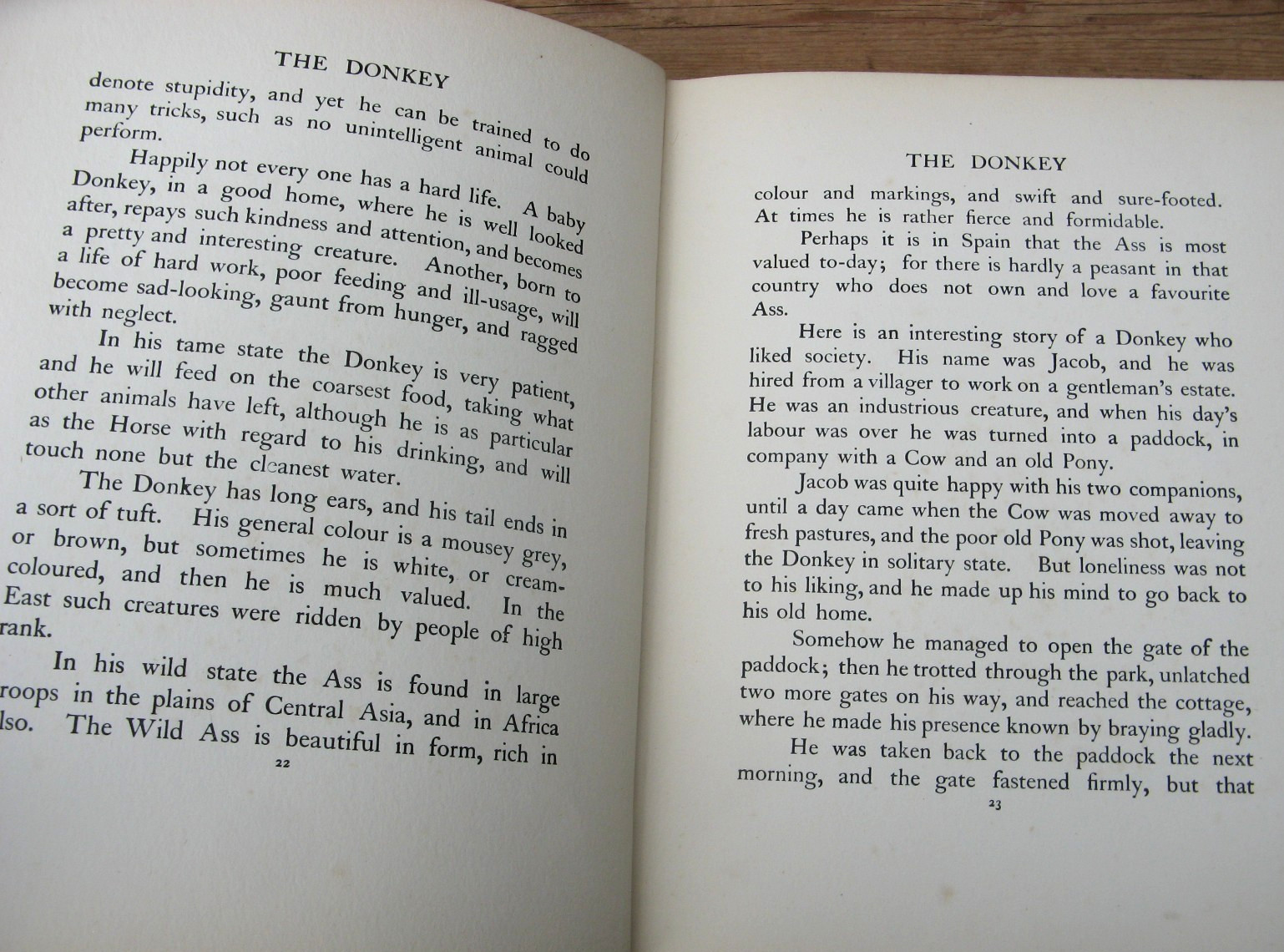 1911 The Book of Baby Beasts- Detmold SIGNED 1st Edition