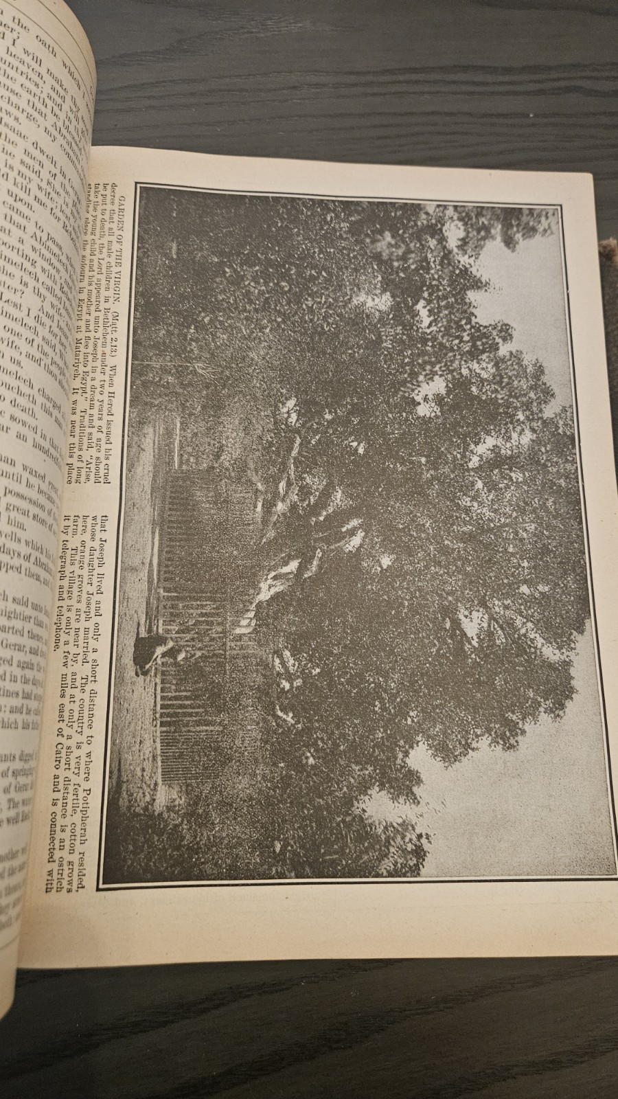 Indexed Holy Bible 1902