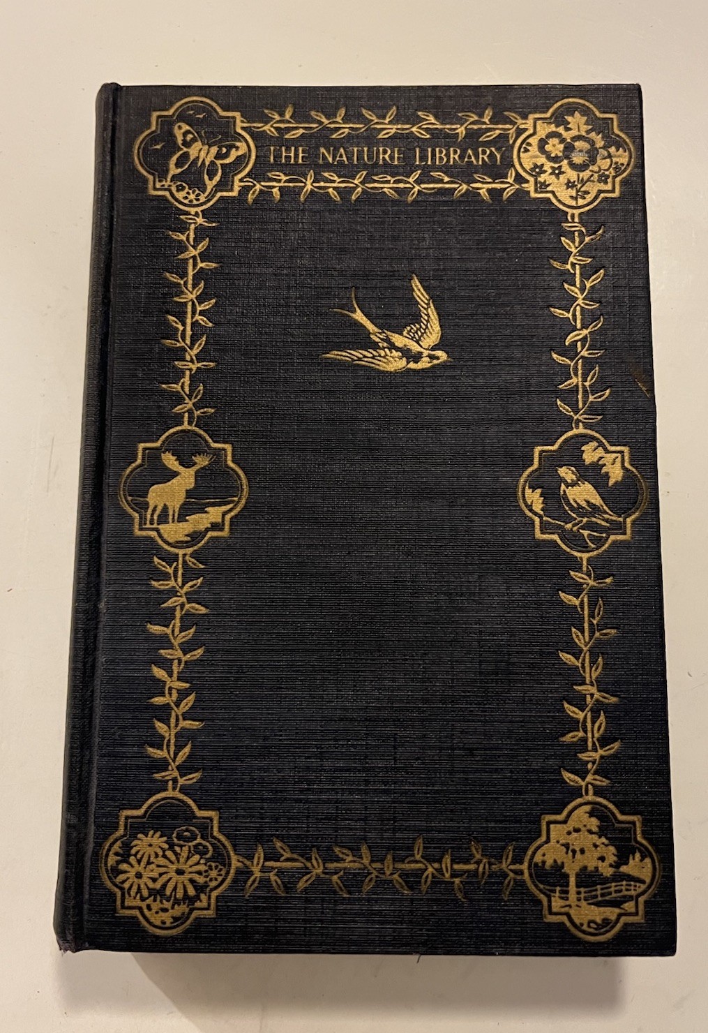 The Nature Library Birds 1927 Vtg HC Neltje Blanchan 48 Illustrations Full Color