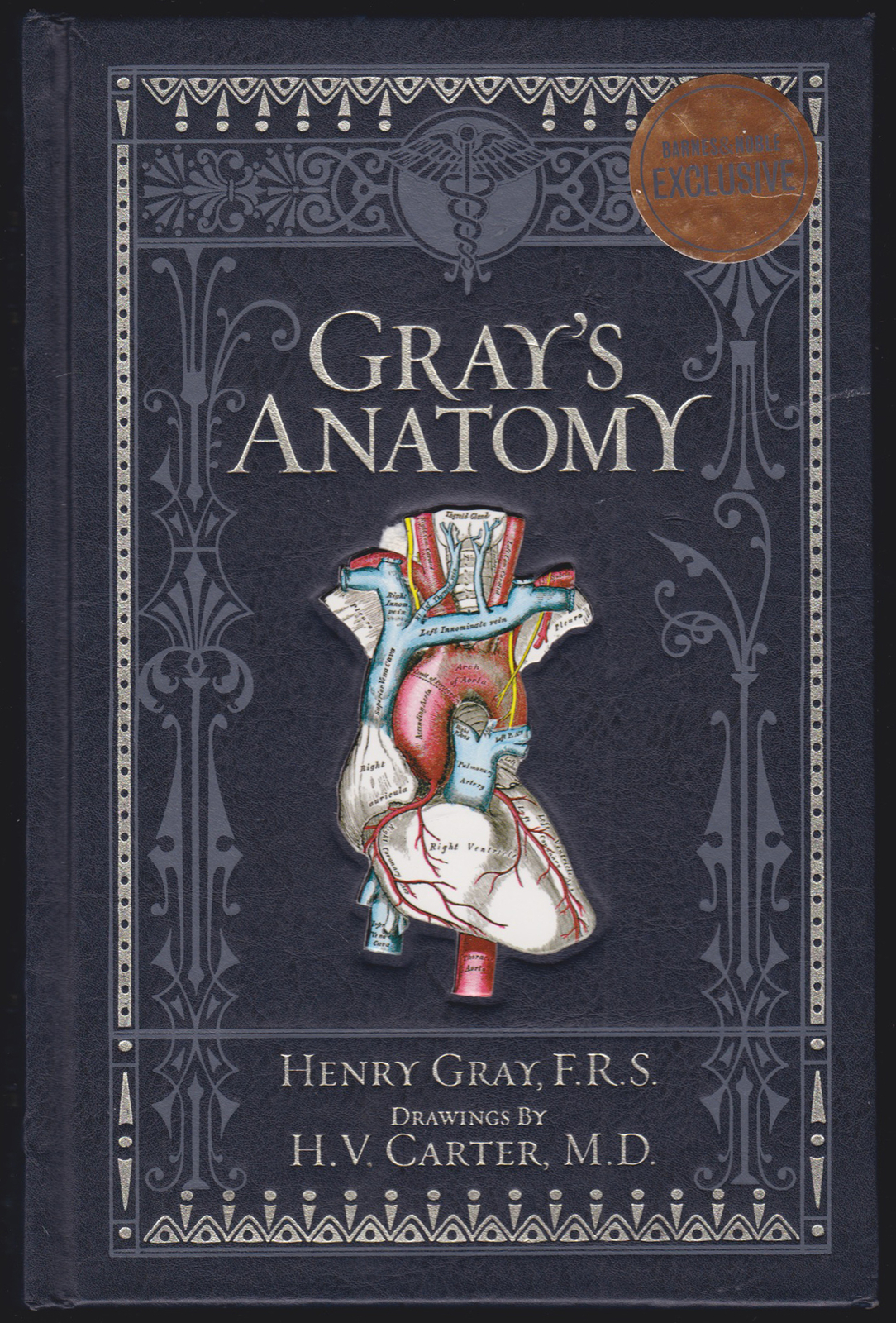 Henry Gray, H V Carter / Gray’s Anatomy 2010