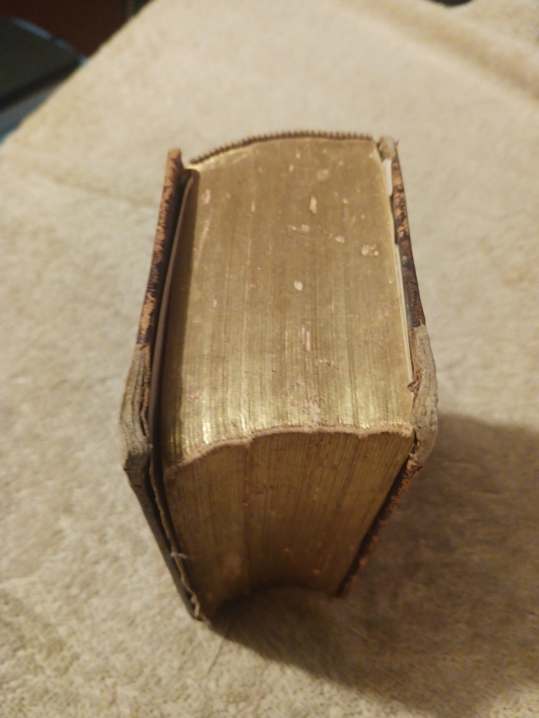 Manual of the Holy Family Catholic Devotion & Christian Perfection Thomas Kelly