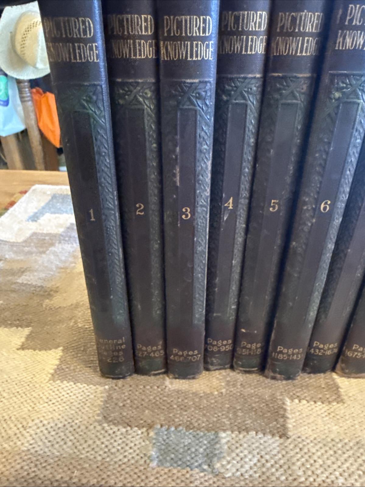 Pictured Knowledge ~1930 ~ Complete set of 10 Volumes Marshall Hughes Co.