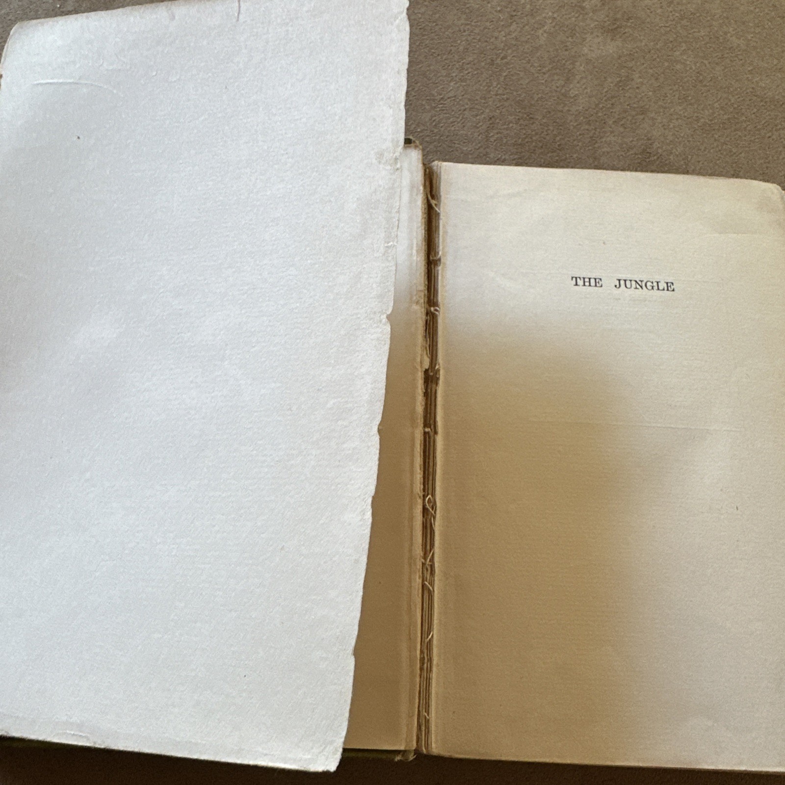 The Jungle Upton Sinclair Book 1906 1st ed 1st Printing February Antique