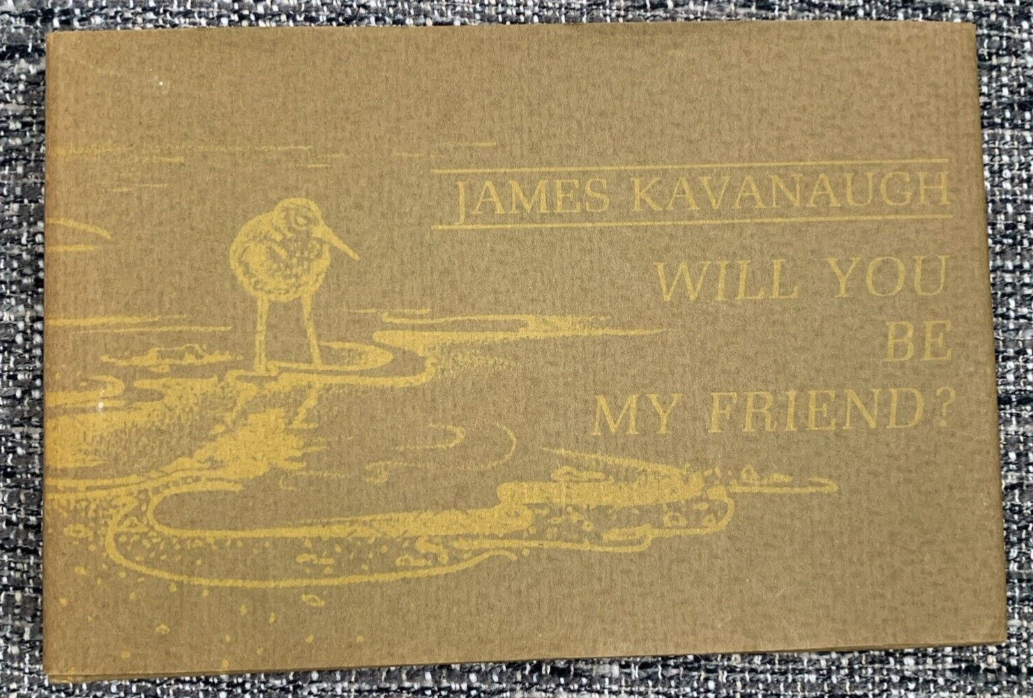 Will You Be My Friend? James Kavanaugh First Printing Nash Publishing 1971 DJ/HC