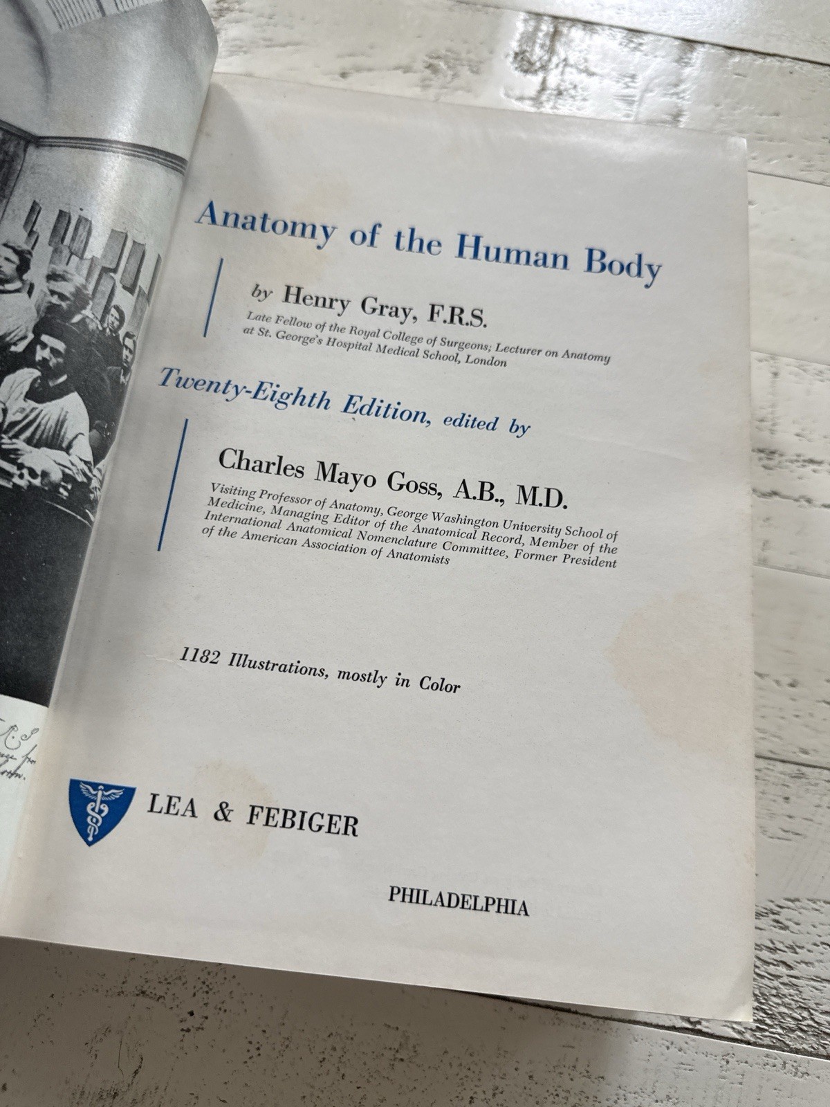 Gray’s Anatomy Human Body 28th Edition HC 1968 Henry Gray Goss Medical Text