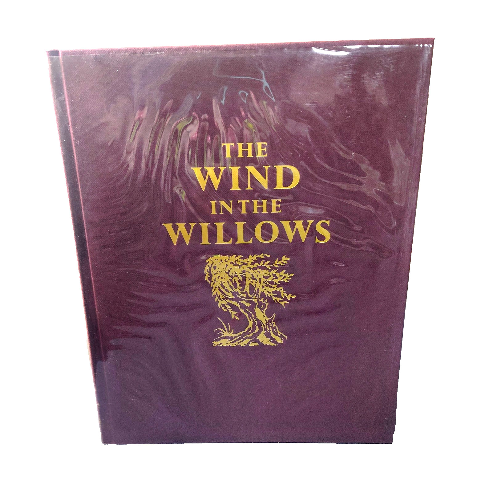 1st Ed. WIND IN THE WILLOWS Kenneth Grahame Illustrated Michael Hague 1980 HCDJ