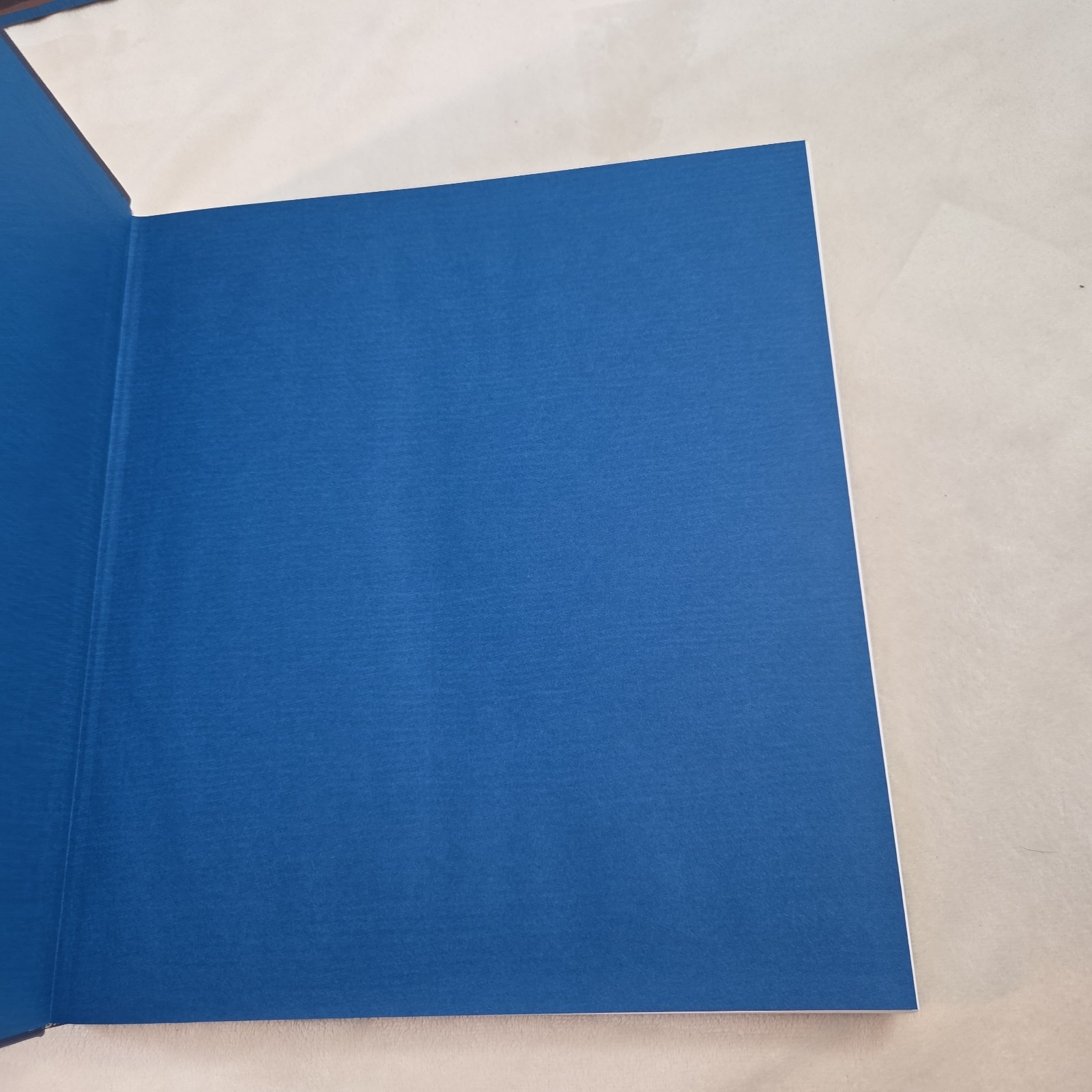 Folio Society Book of the 100 Greatest Paintings Hardcover Slipcase Bailey Spain