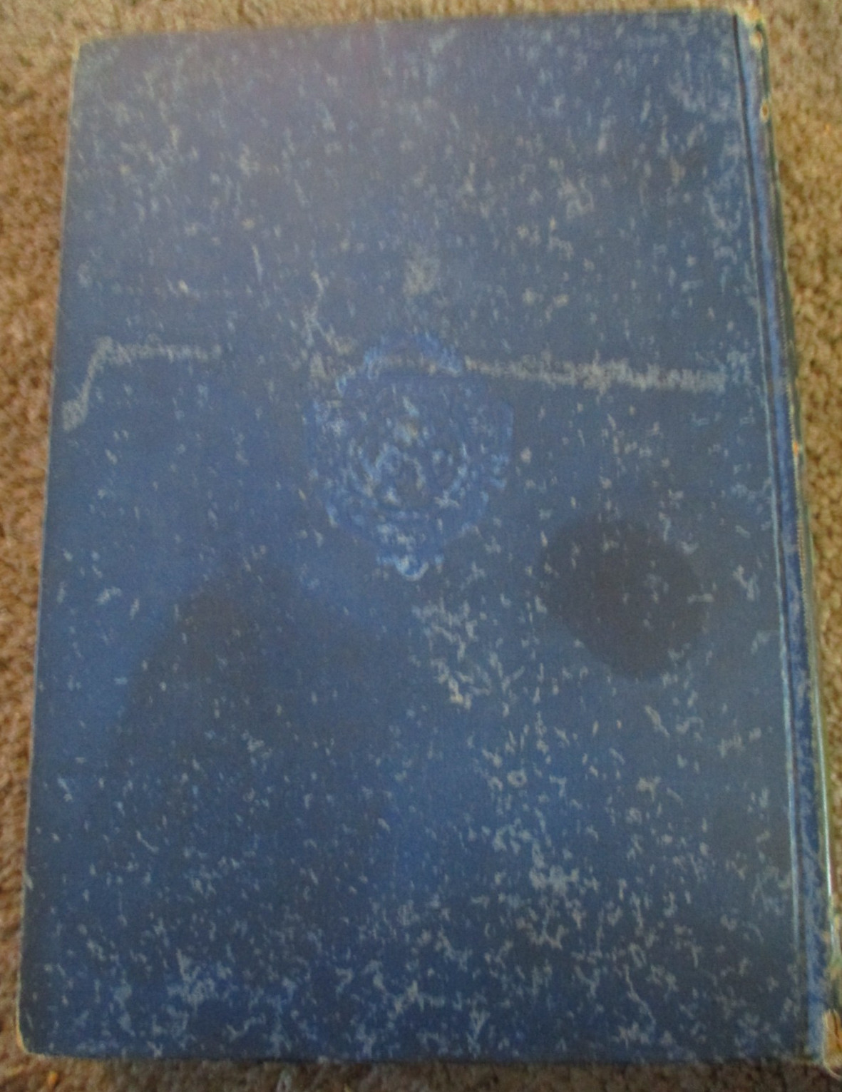 „Untrodden Peaks & Unfrequented Valleys“ HC by Amelia Edwards, 2nd Edition, 1890