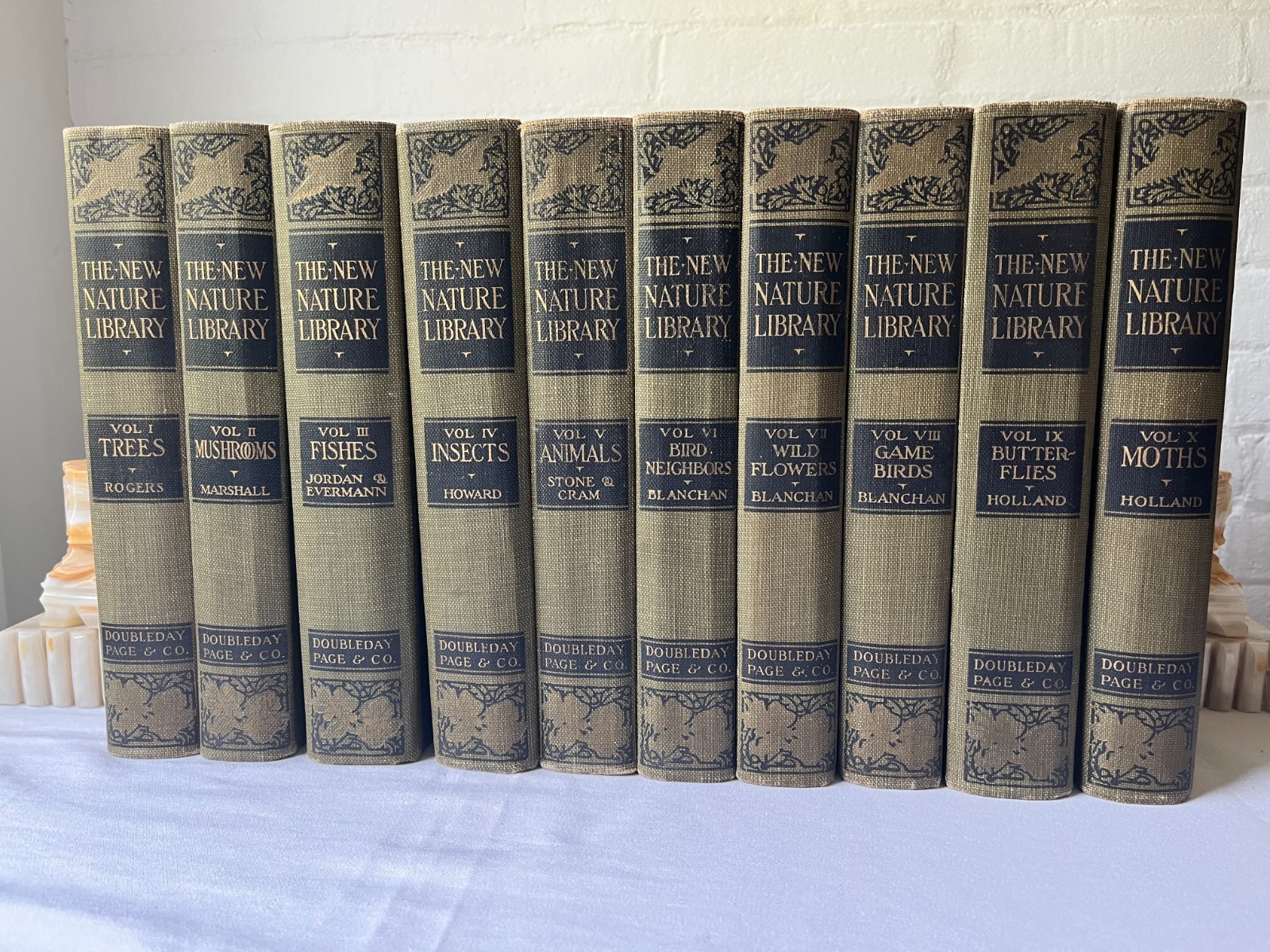 Complete Lot of 10 Volumes of The New Nature Library 1920s 1922/1923 RARE
