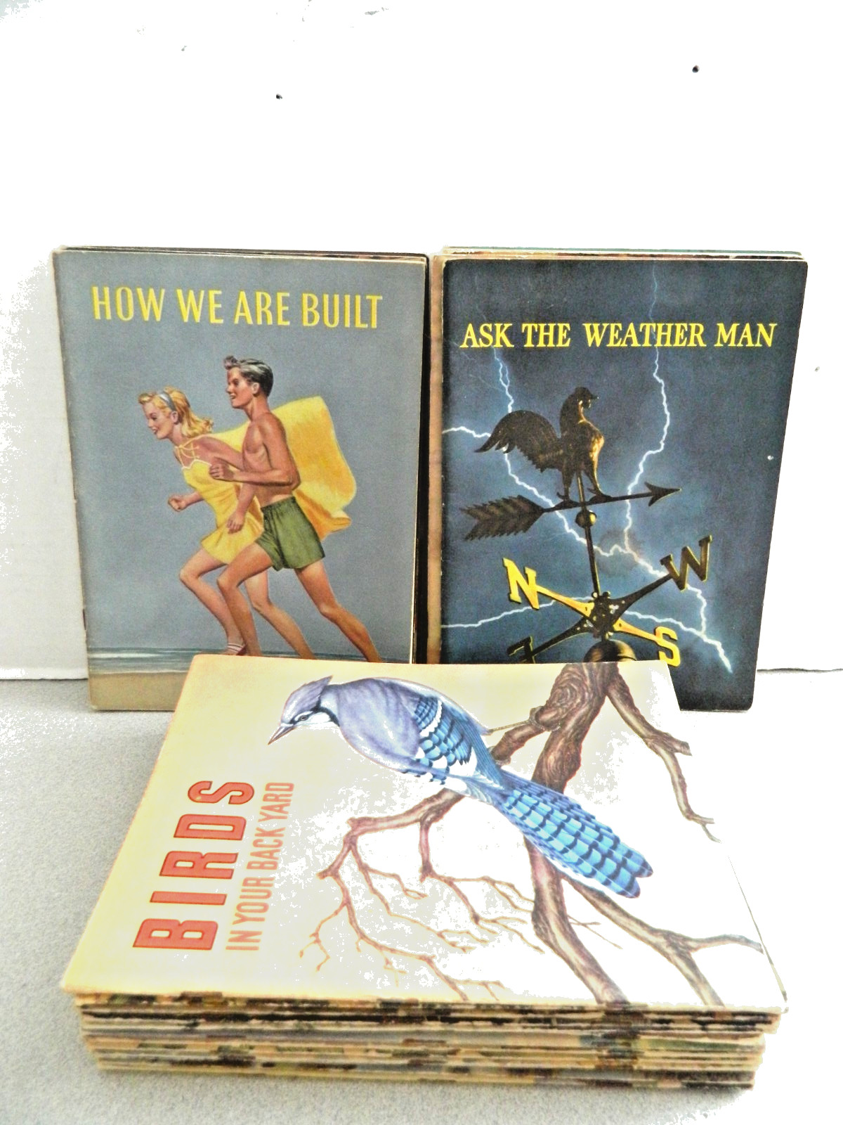 50’s Basic Science Education Series Lot (22)
