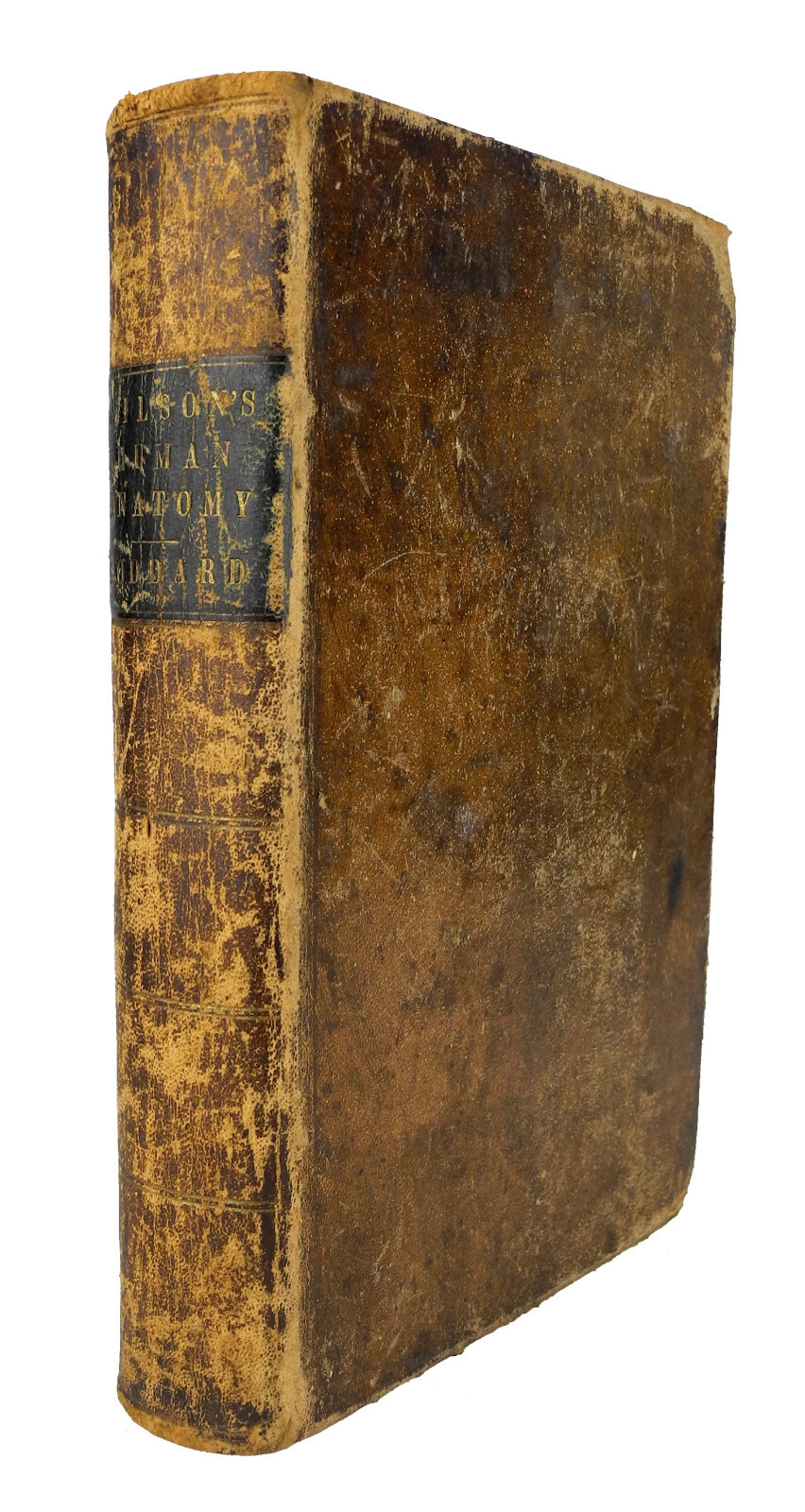 A System of Human Anatomy by Erasmus Wilson – 1848 – First Edition