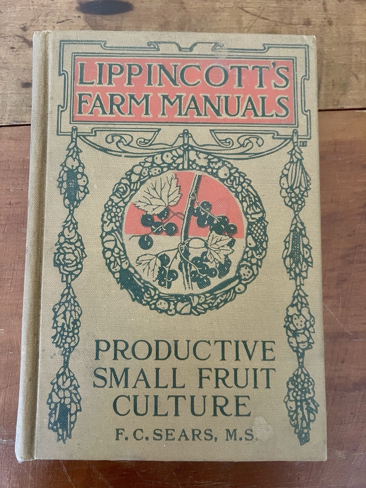 Productive Small Fruit Culture by F C Sears Lippincott’s Farm Manuals 1925 Book
