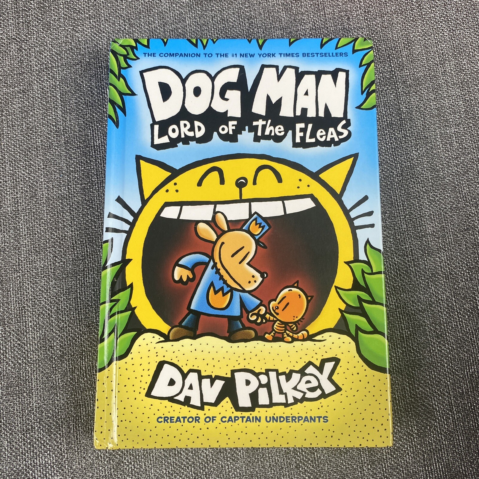 Lot Of 13 Assorted Children’s Books Teens and Young Adults, Dog Man, Just Jake..