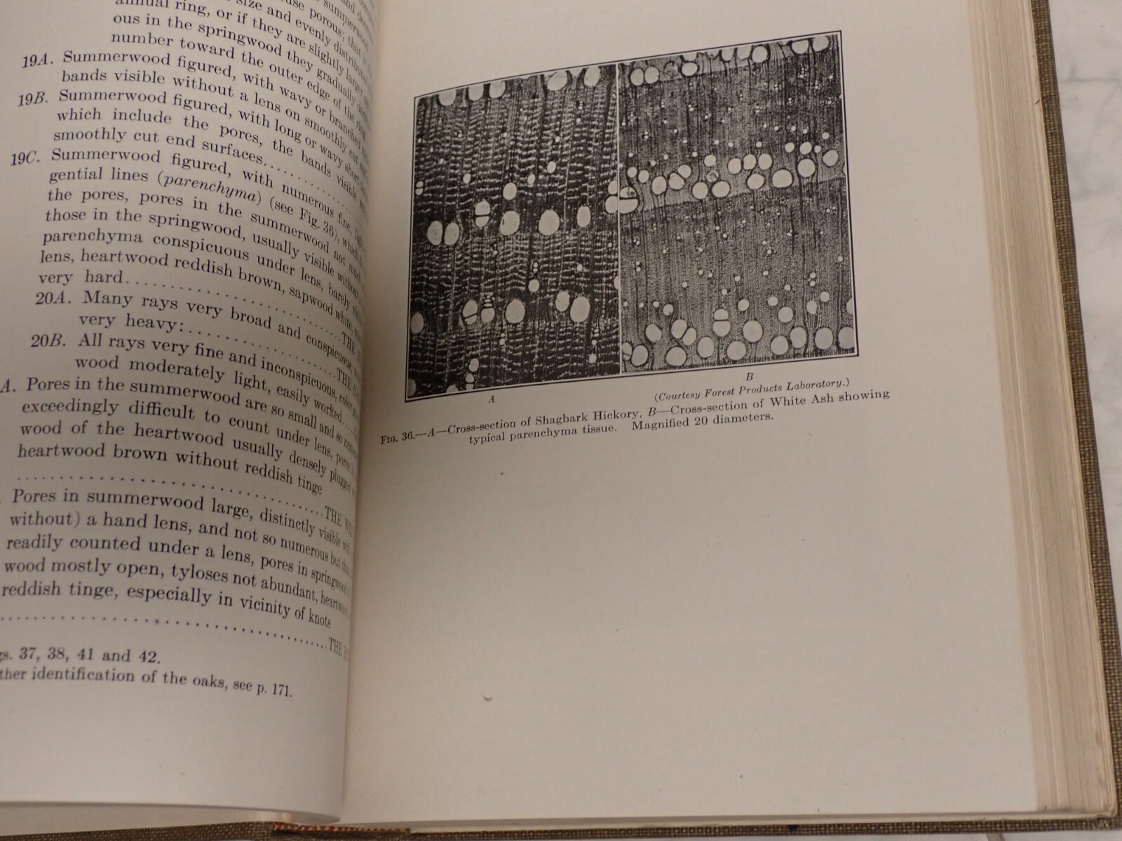 Wood Construction Principles Practice Details. Dudley Holtman. 1929 ex-library