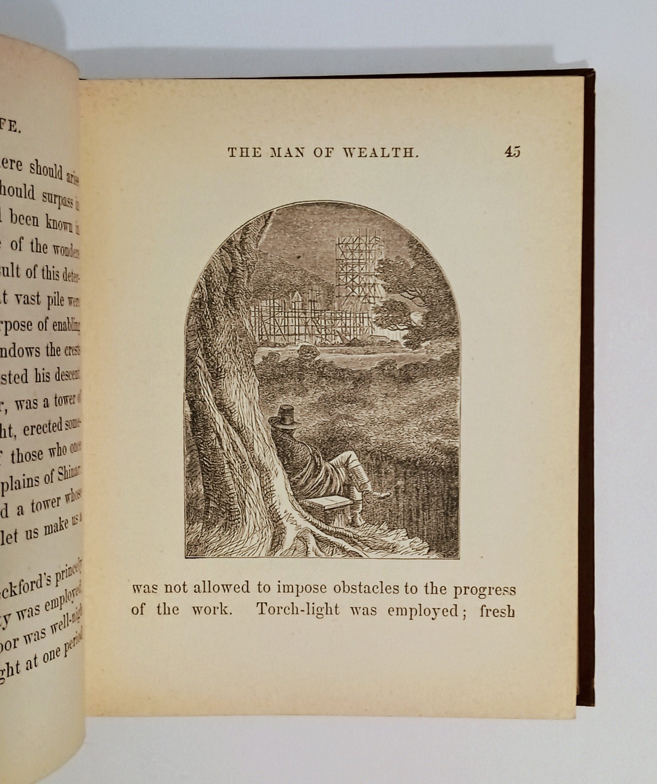 1890’s The Mirage of Life, JOHN TENNIEL Illustrations, Fame Wealth Power etc.