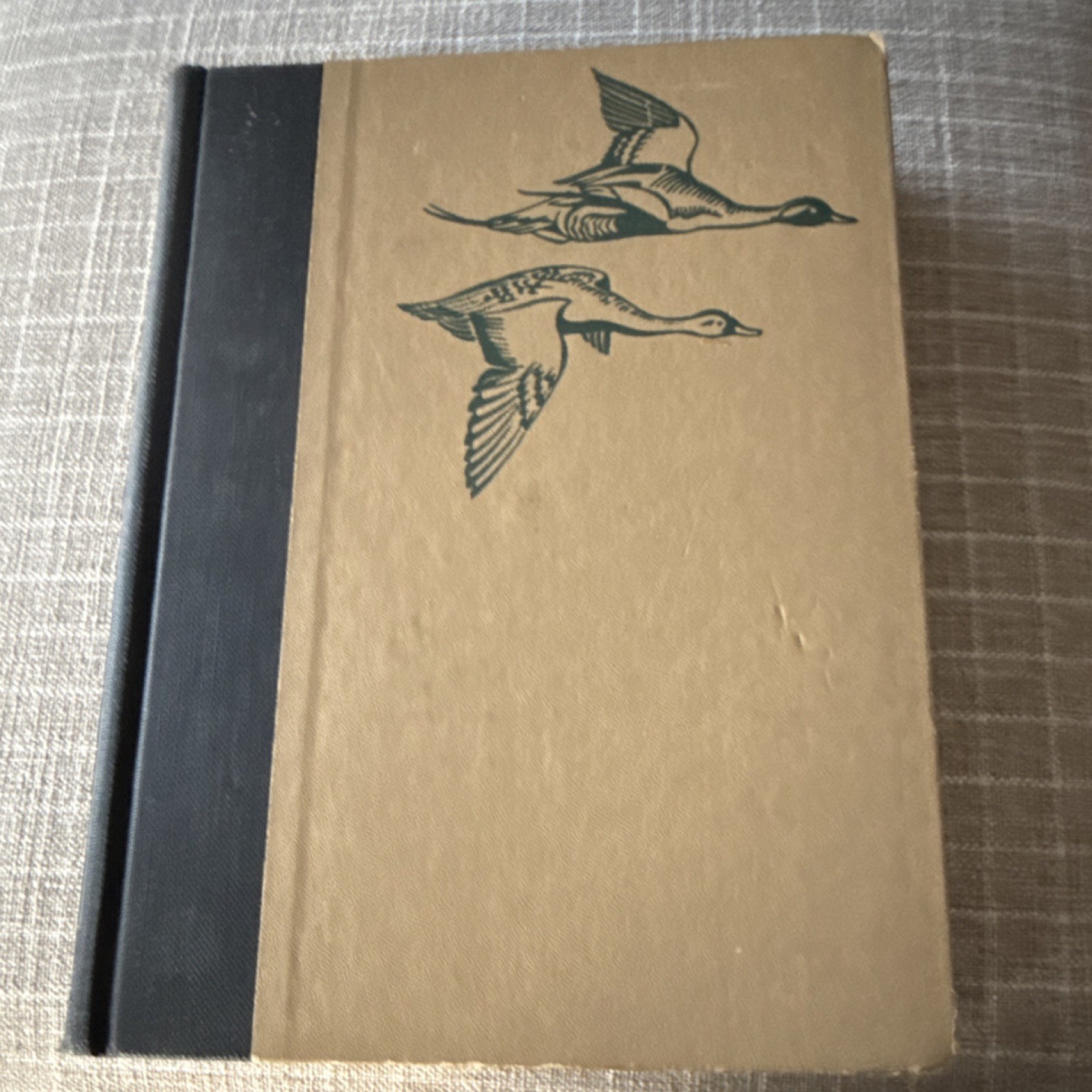Garden City Books Birds of America Hardcover Pearson Illustrated Fuertes