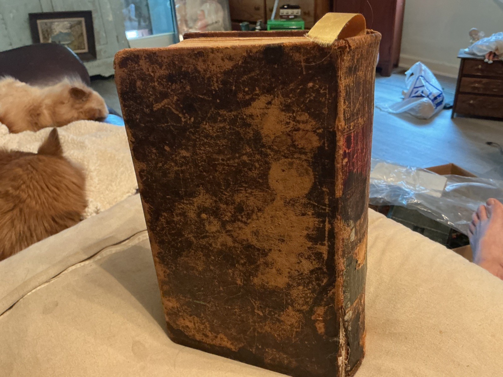 Early 1832 Scott’s Bible Monroe County WV Estate Bostic Family Genealogy History
