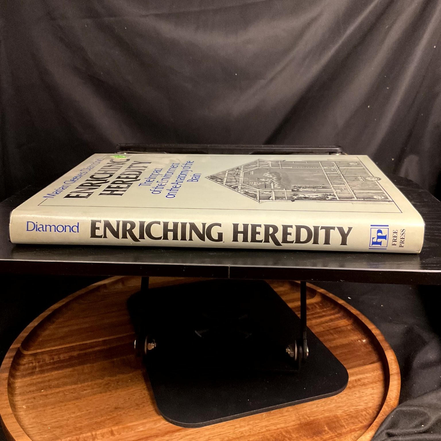 Enriching Heredity Marian Cleeves Diamond 1st Edition 1988 Illustrated Brain
