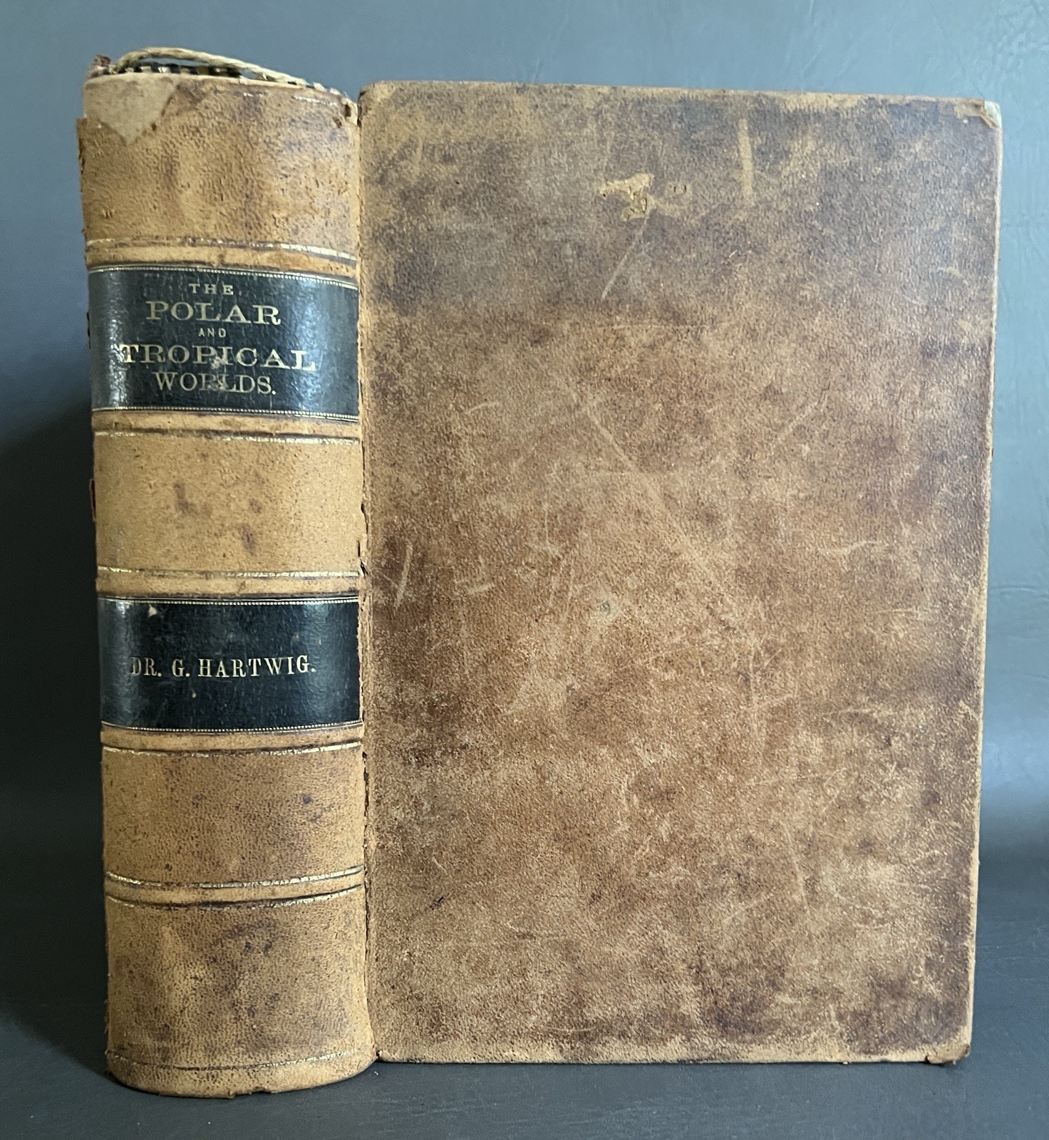 The Polar & Tropical Worlds G. Hartwig 1877 Leather Maps Charles Francis Hall