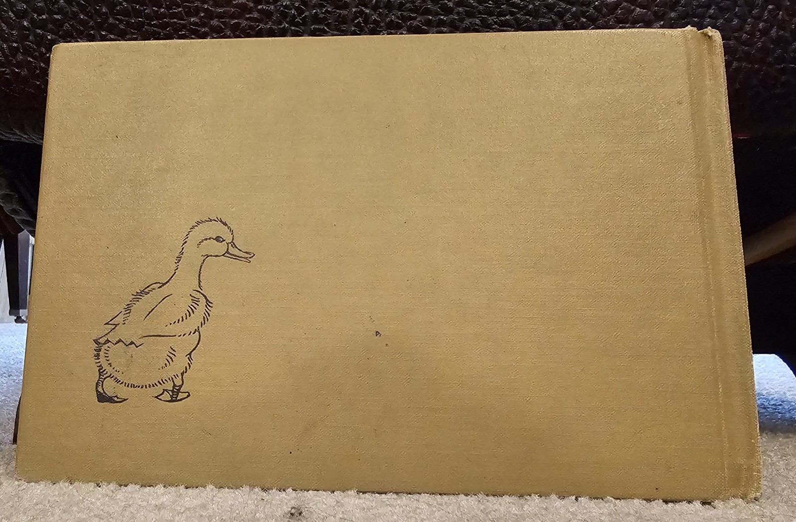 Poquito the Little Mexican Duck 1959 Children s Vintage Hardcover Wonderful Art