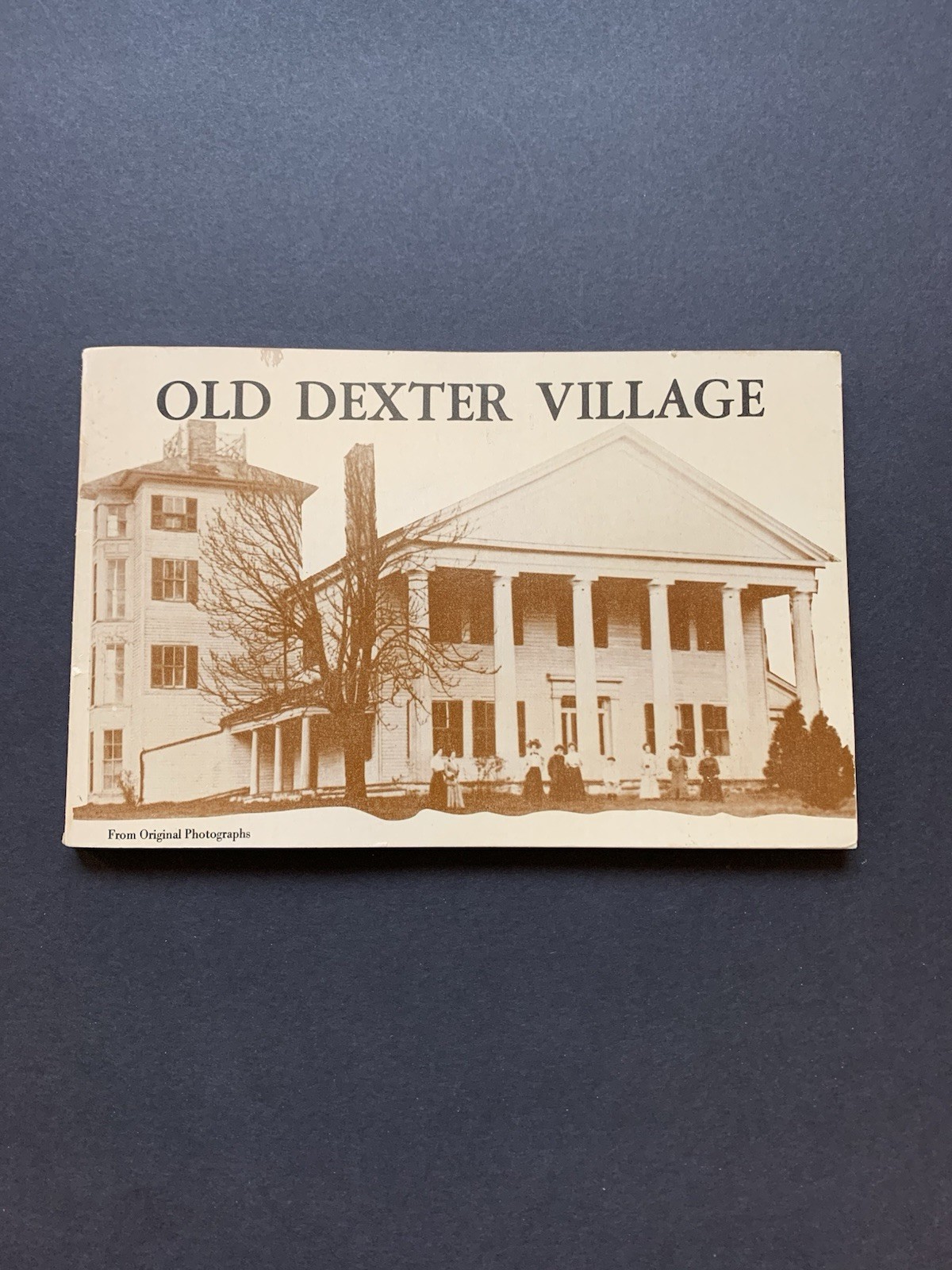 1973 Old Dexter Village-Michigan From Original Photos History 1st Ed MI Mich