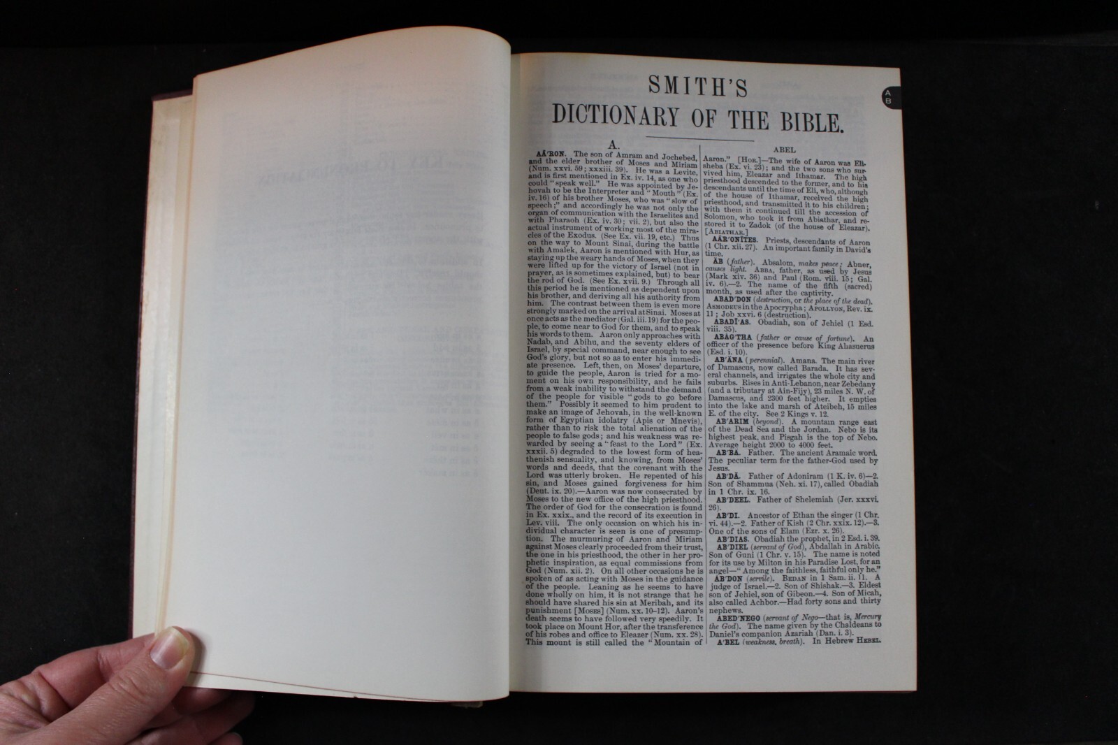Smith’s Bible Dictionary: Revised Edition, by William Smith. A.J.Holman Company