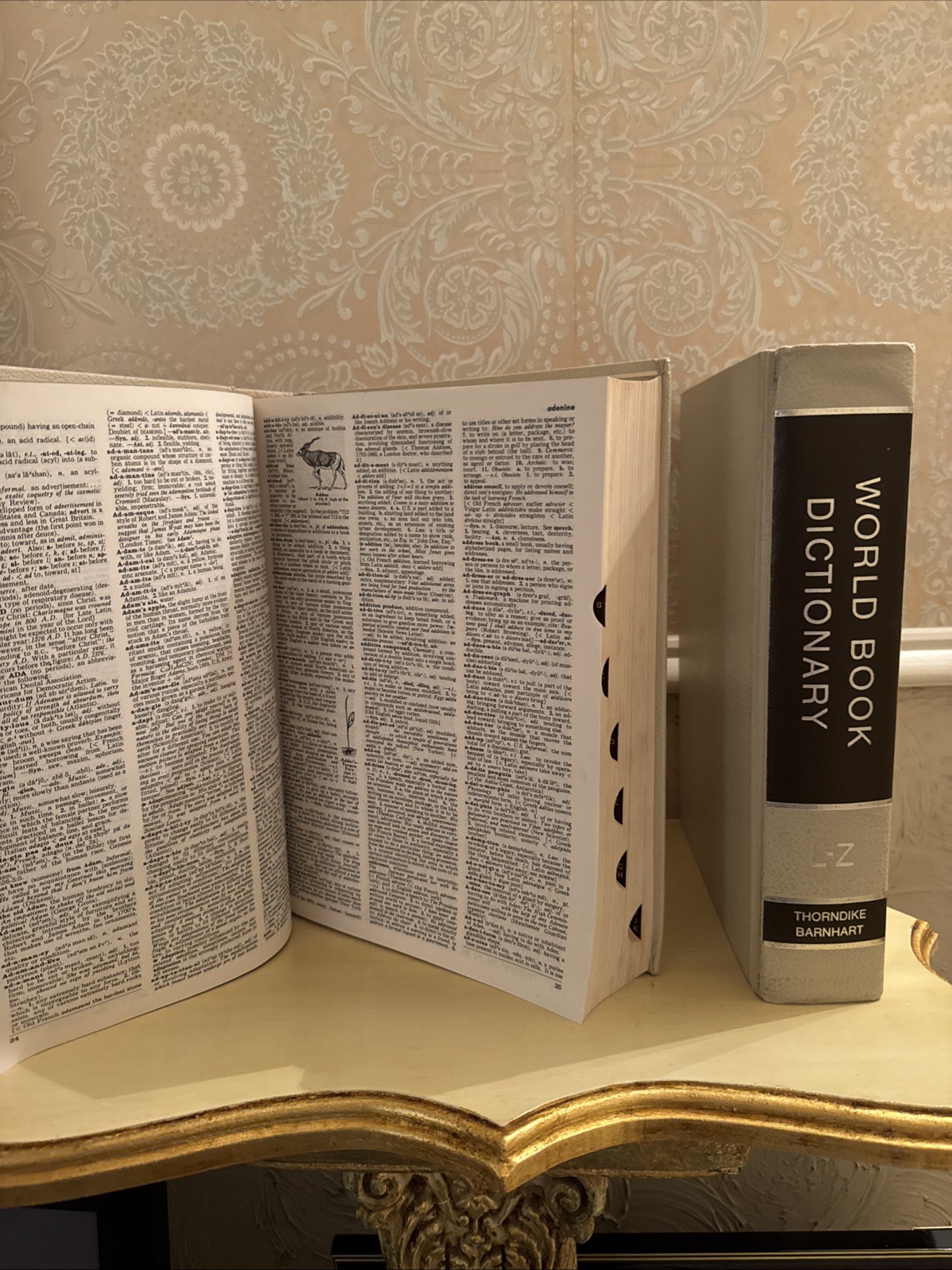 World Book Dictionary by Thorndike Barnhart A-K and L-Z Hardcover, 1975 Edition