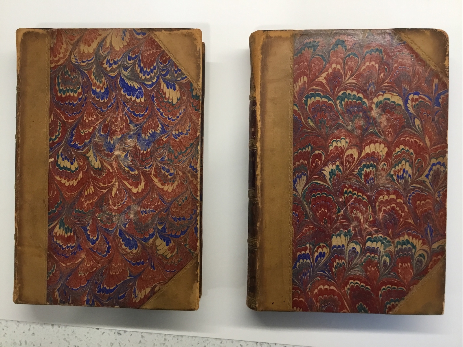 The Chronicles Of The Canongate 1827 Two Volume Set Half Leather