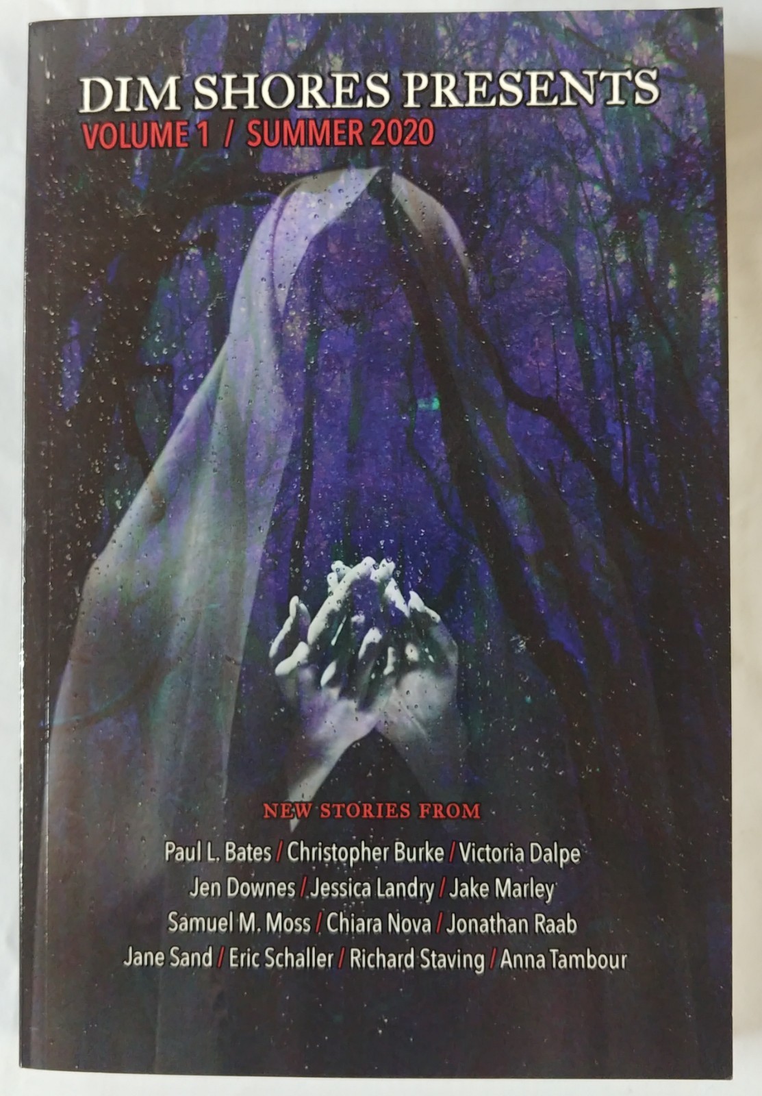 DIM SHORES Presents Volume 1 horror weird fiction vastarien penumbra