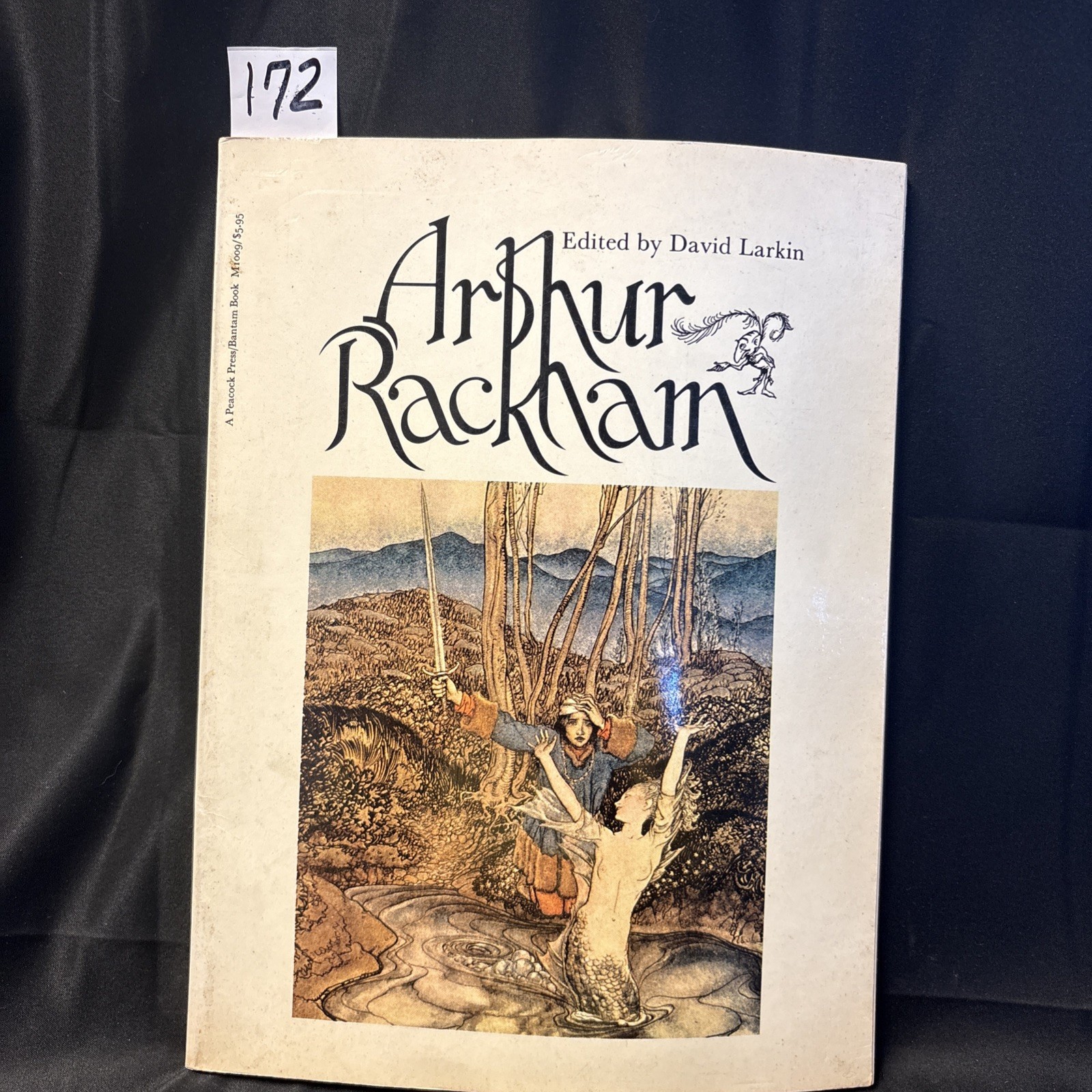 Arthur Rackham Art Book First US Edition Featuring Gorgeous Fantasy Art