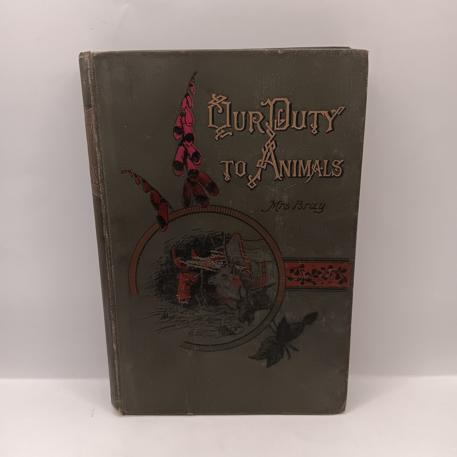 Our Duty To Animals Mrs Charles Bray S.W. Partridge & Co Vintage Book Hardback