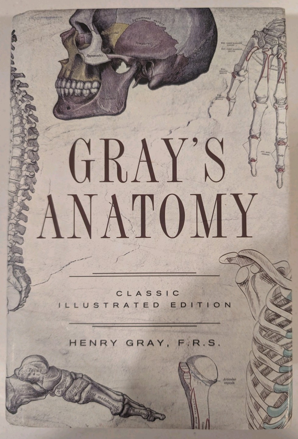 New Gray’s Anatomy by Henry Gray Illustrated Classic Anatomical Hardcover