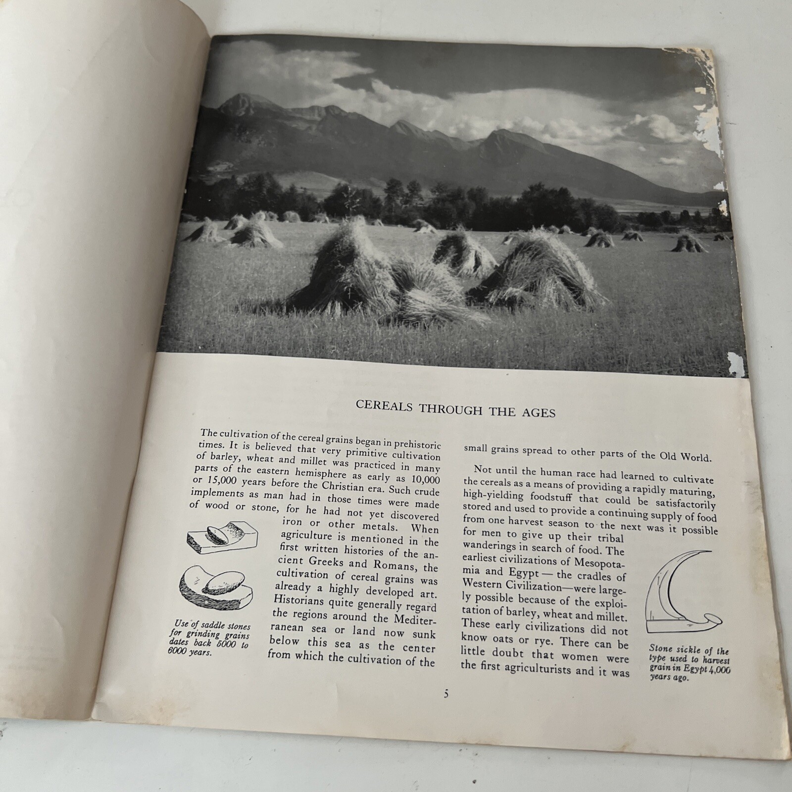 GENERAL MILLS 26 Page Publication THE STORY OF THE CEREAL GRAINS