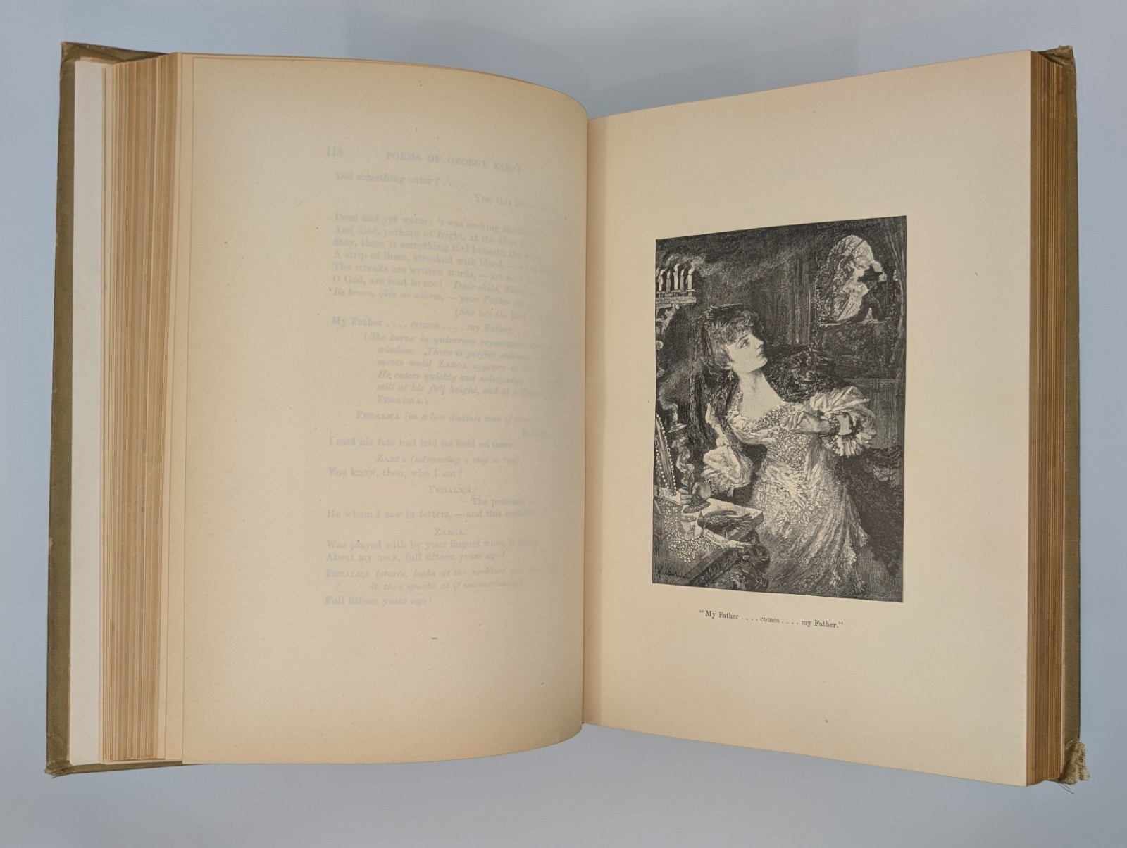 The Poems of George Eliot 1884 Antique Victorian Illustrated Cloth Book