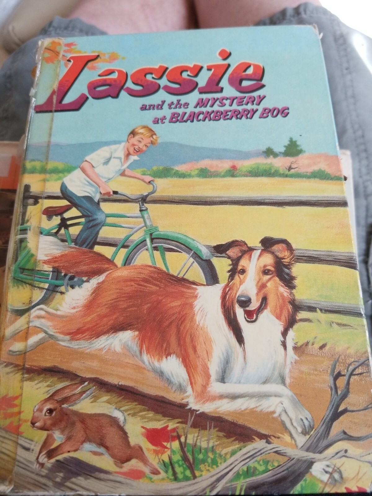 Vintage Copyright 1956 LASSIE and the MYSTERY at BLACKBERRY BOG Book-Racine,Wis.