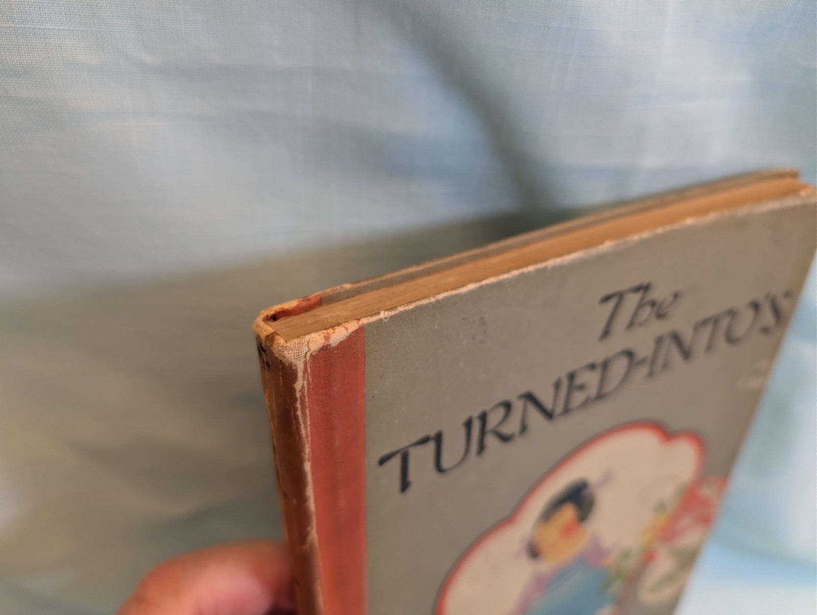 The Turned Into’s by Elizabeth Gordon 19th Printing Hardcover 1920