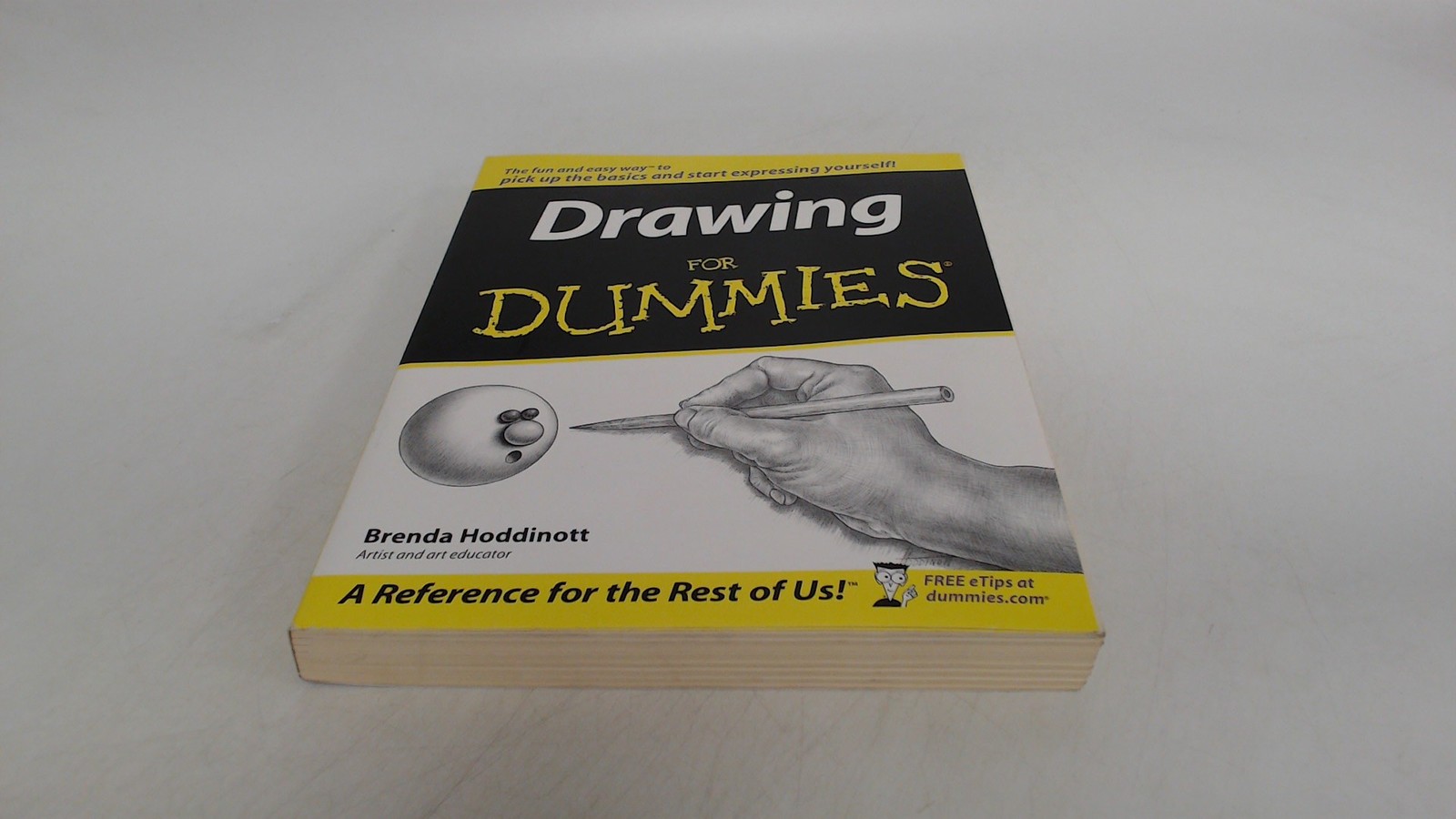 Drawing For Dummies®, Hoddinott, Brenda, John Wiley and Sons, 200