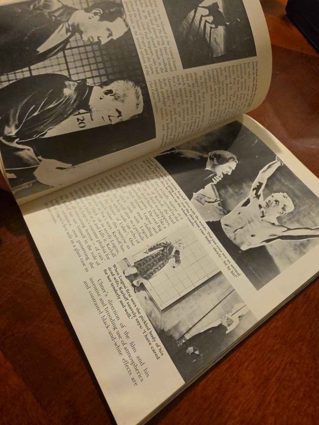 1975 Cinema Of Mystery Book by Rose London Edgar Allen Poe / Silver Screen