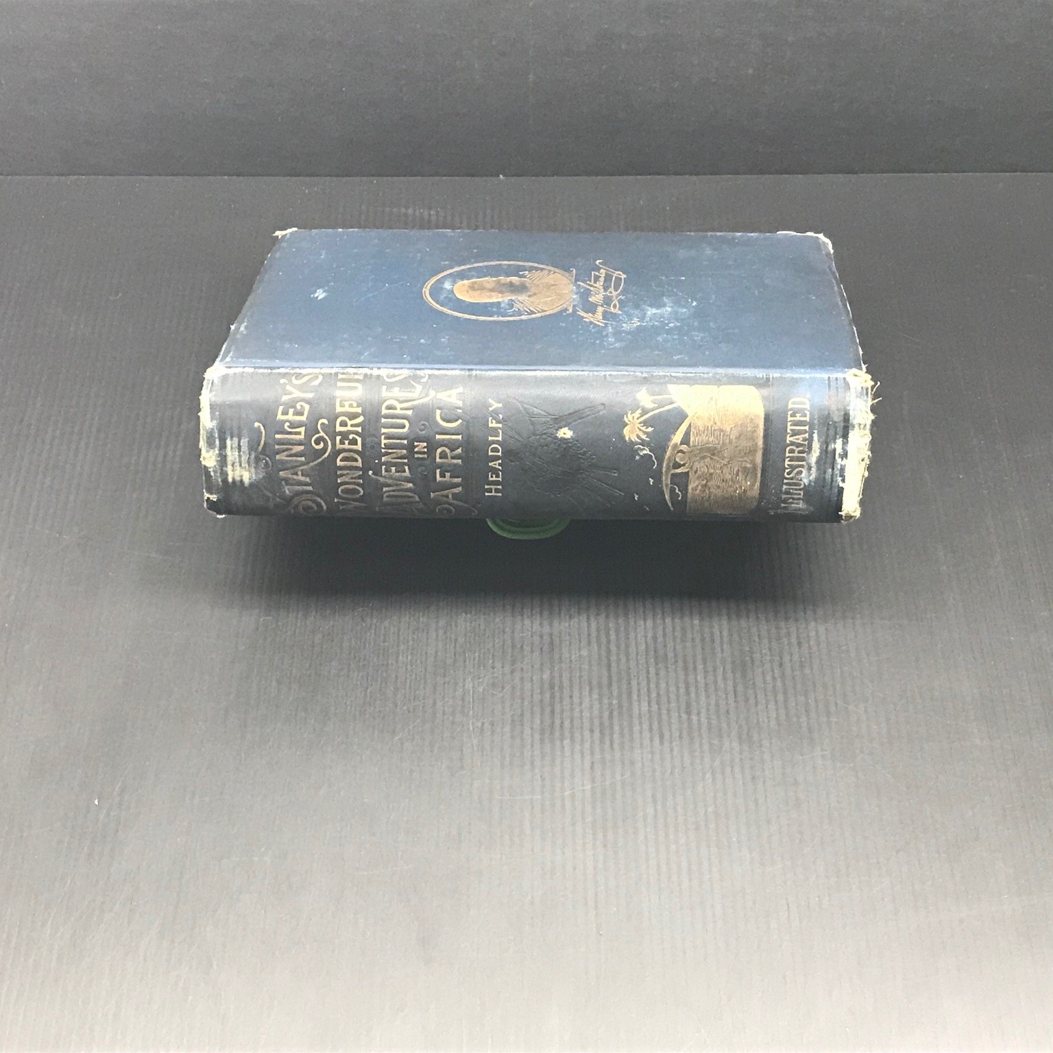 Stanley’s Wonderful Adventures in Africa by Headley Illustrated 1890